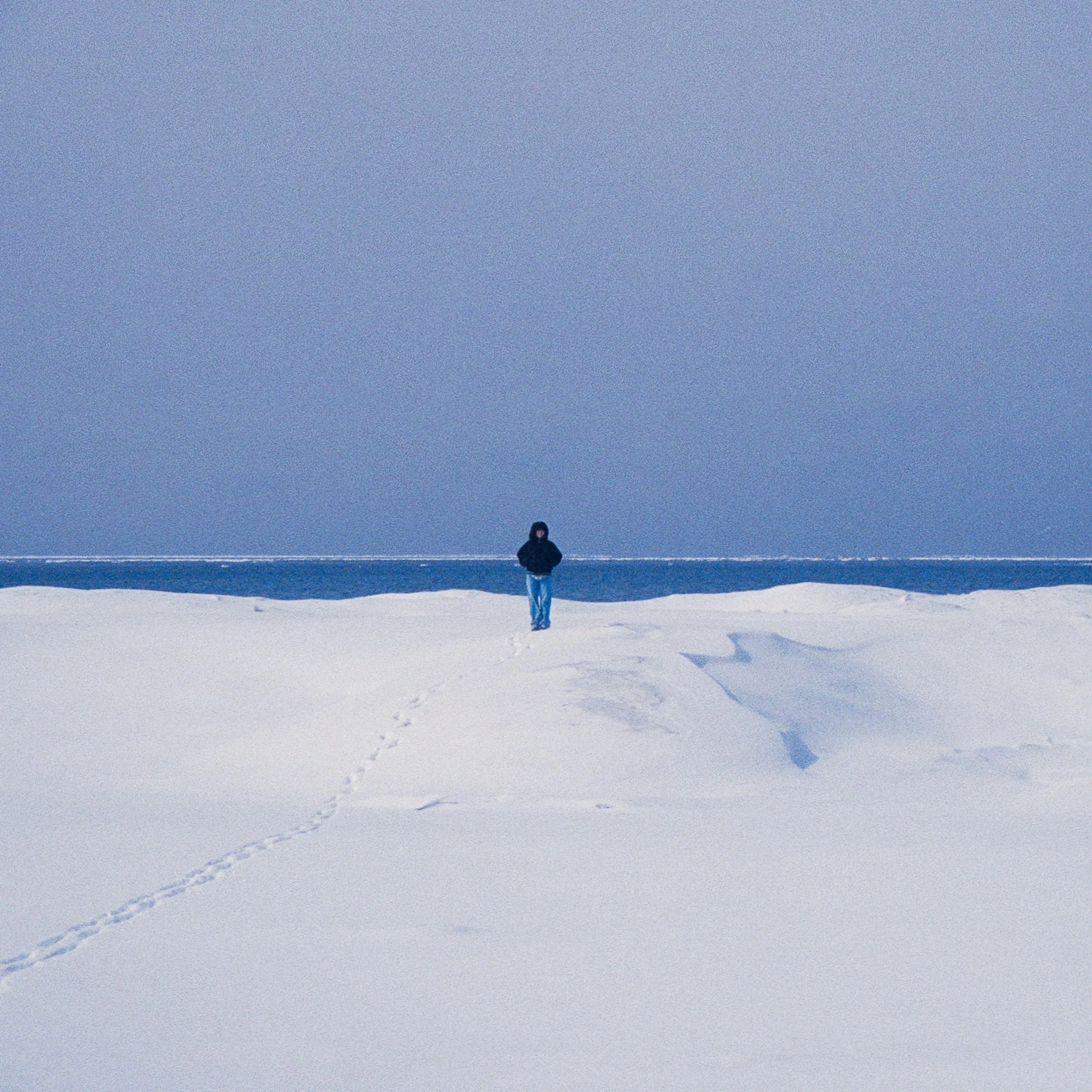 4. IWR Art_FINAL.jpeg