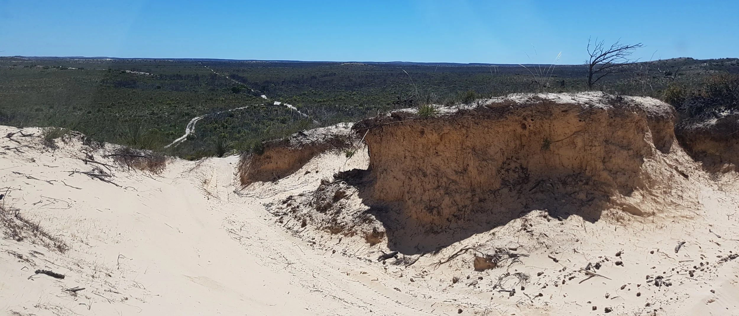 The Border Track SA/VIC