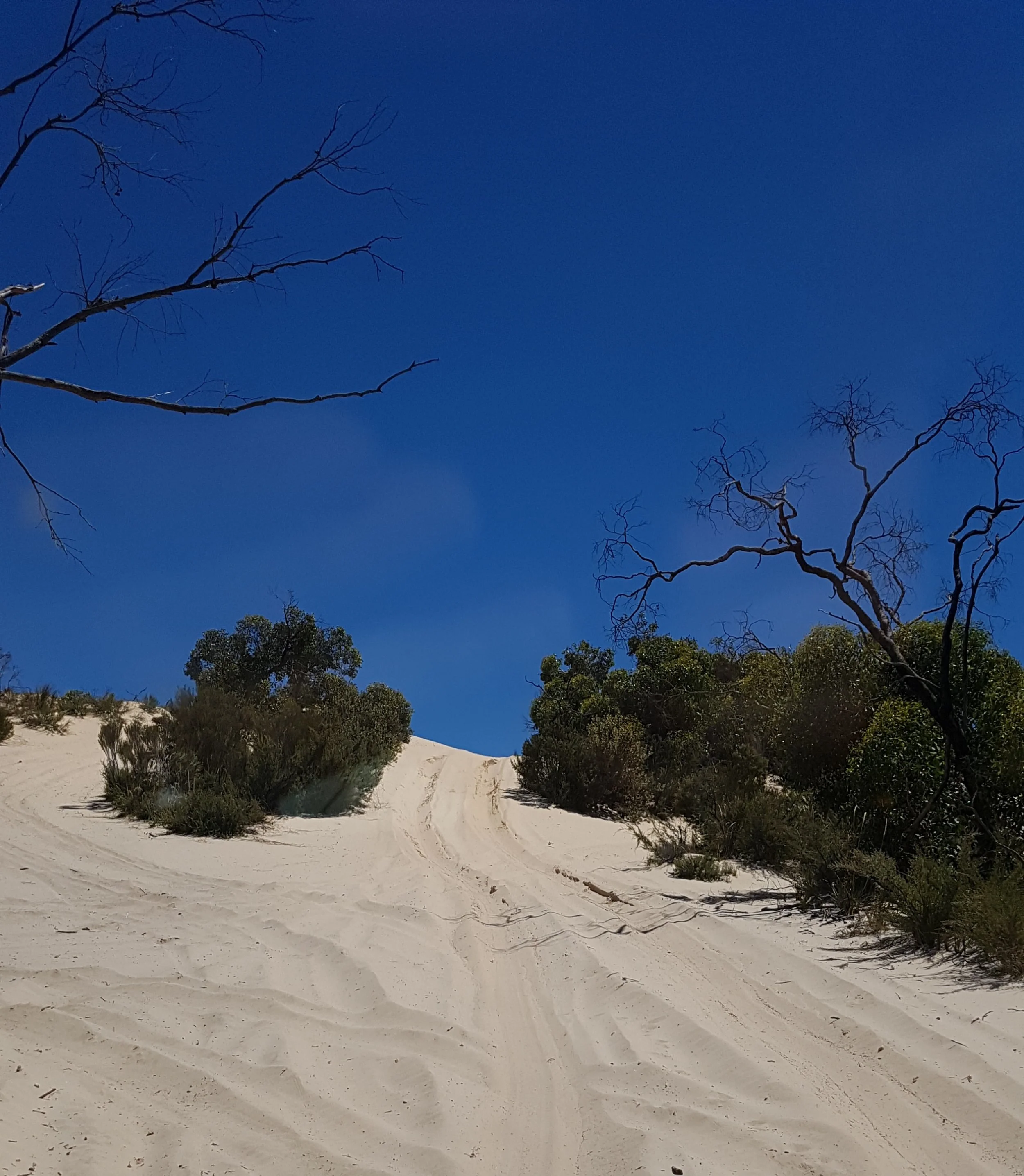 the border track