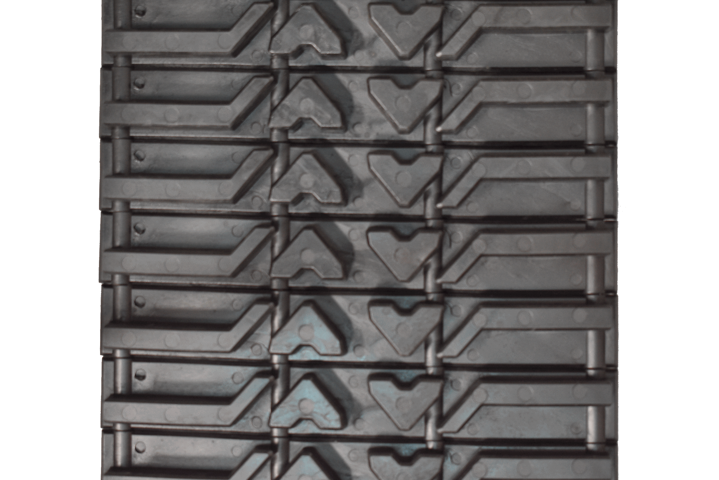 DSC_0031.gif