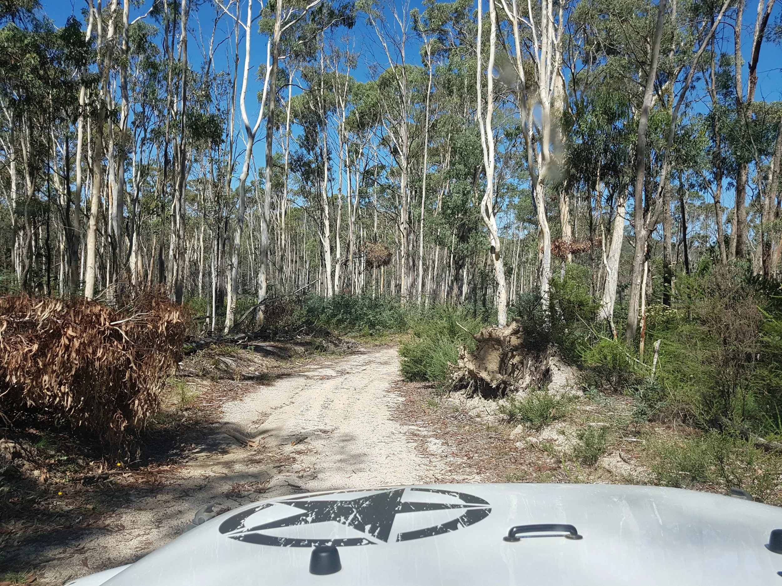 On our way to Tin Mines Campground, Woomargama National Park