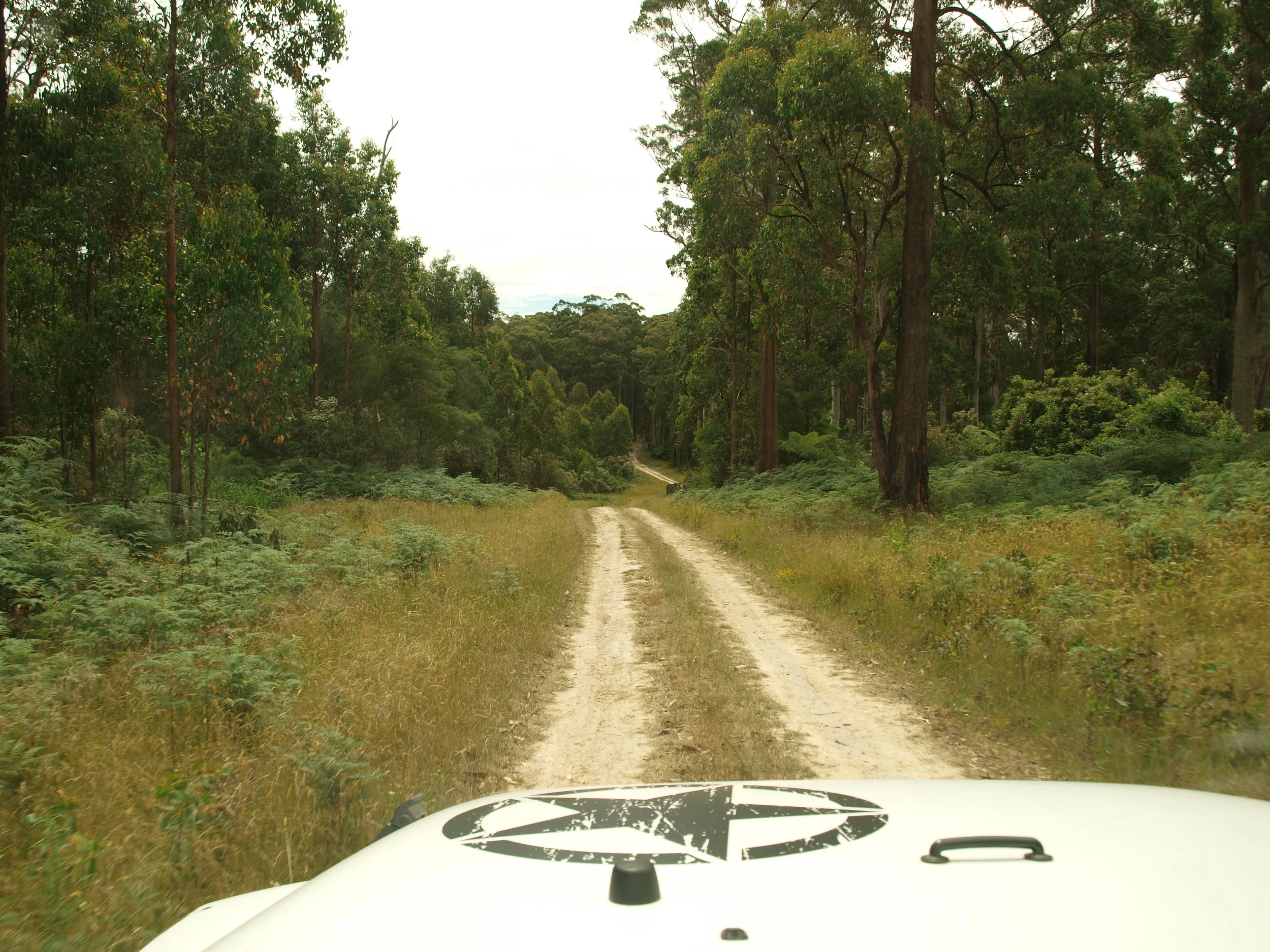 PART I - From Sydney to the Great Otway National Park 