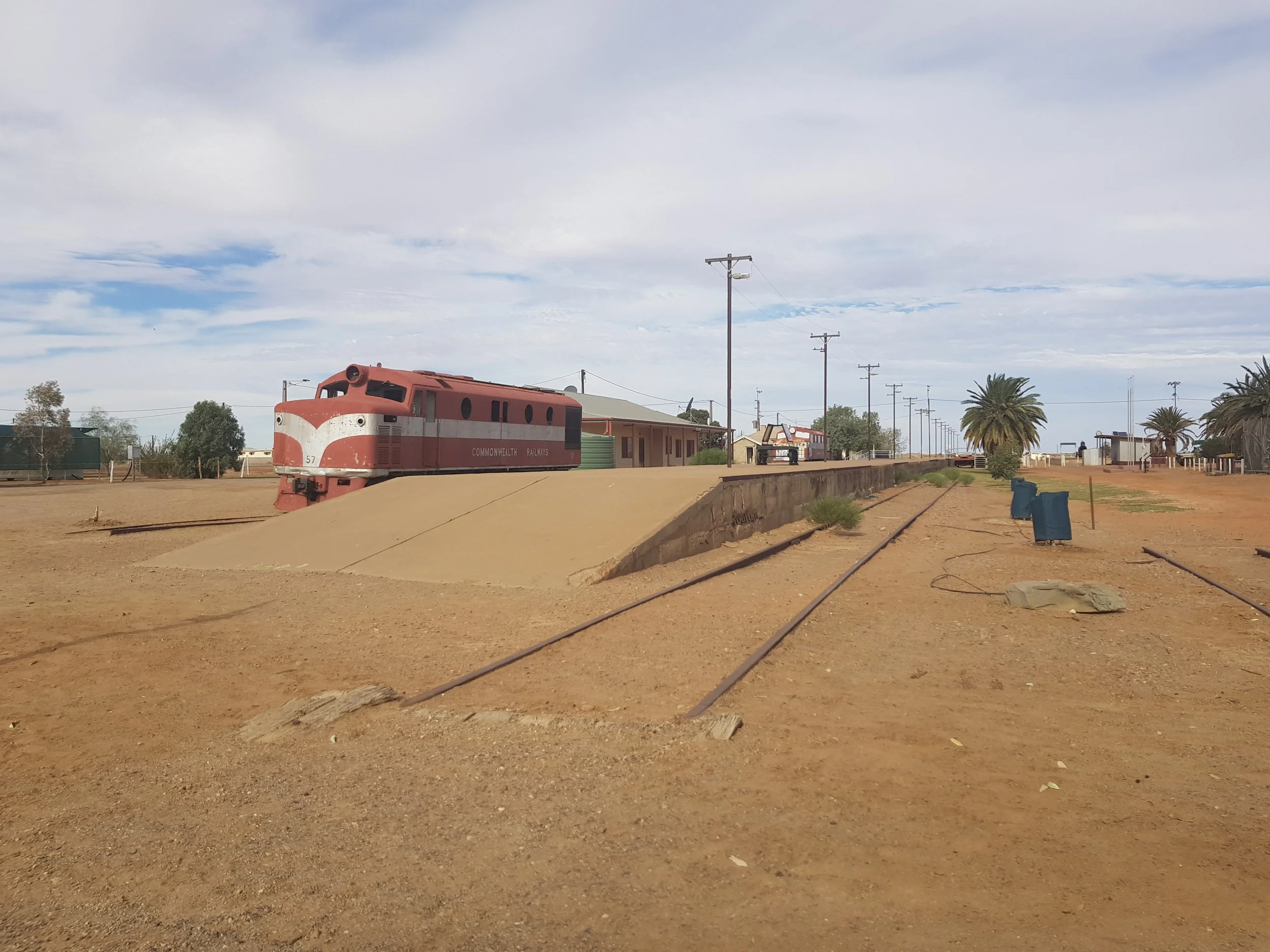 Marree