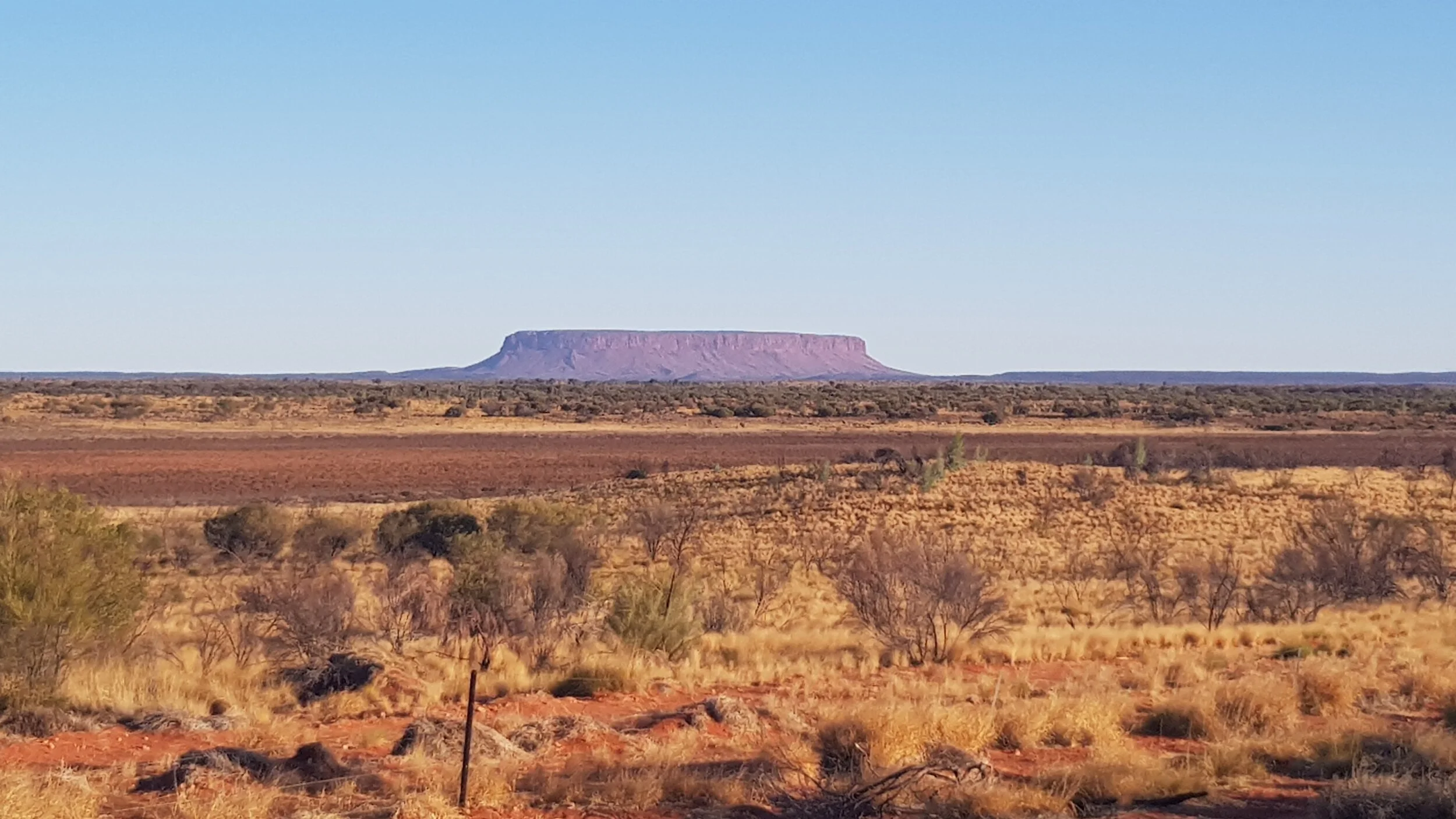 20190422_172348.jpg
