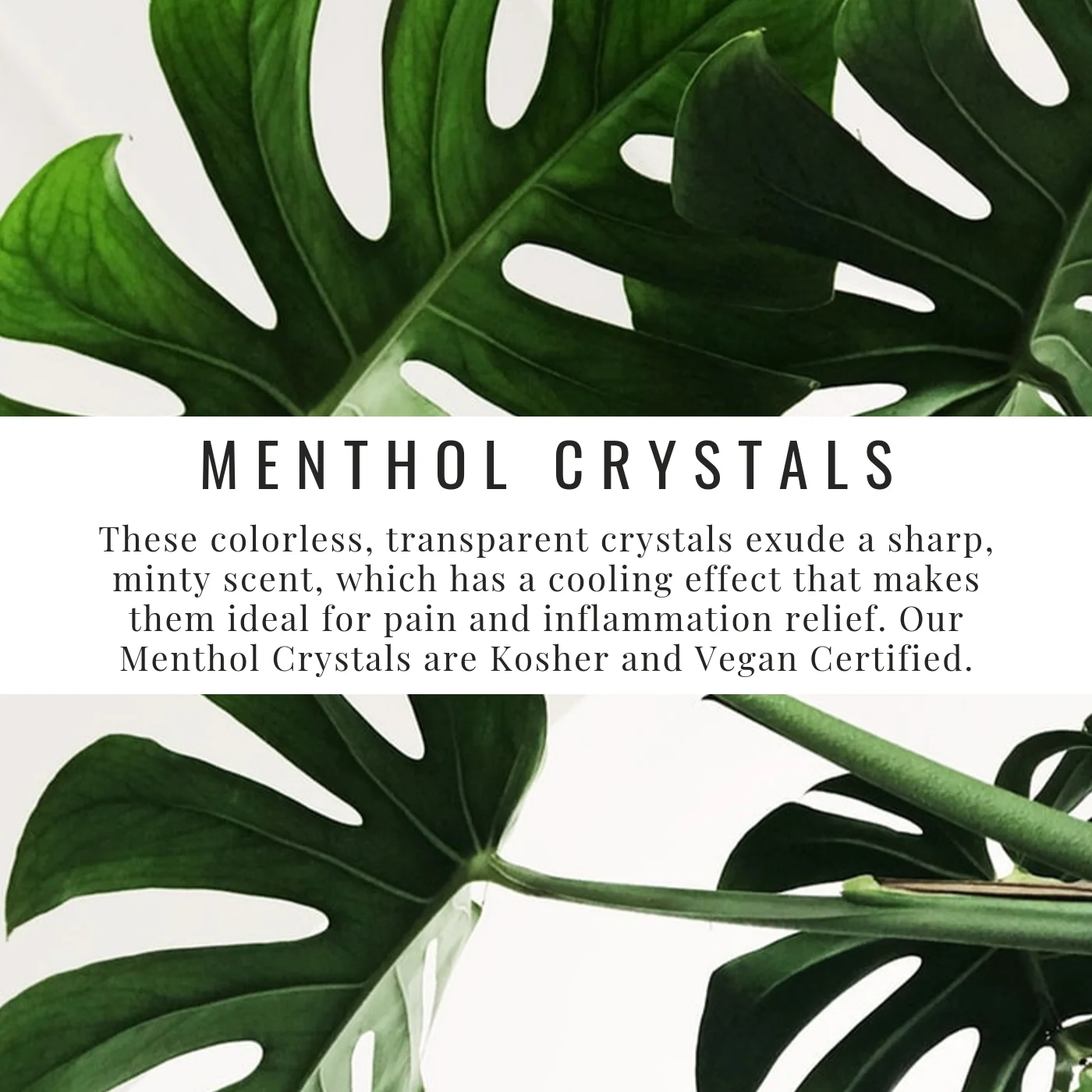 Find them in our Healing Balm