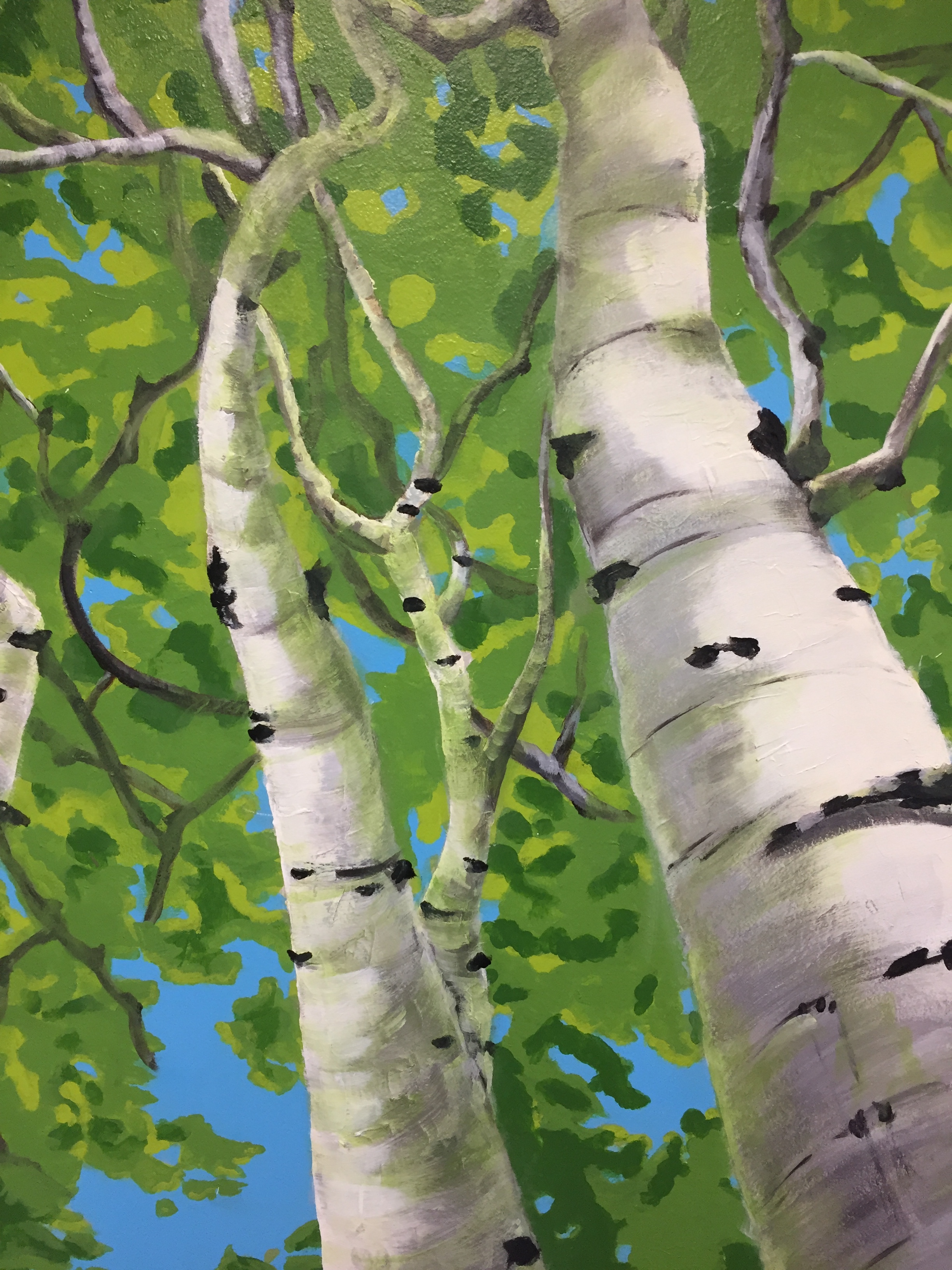 Golisano Birch Trees.jpg