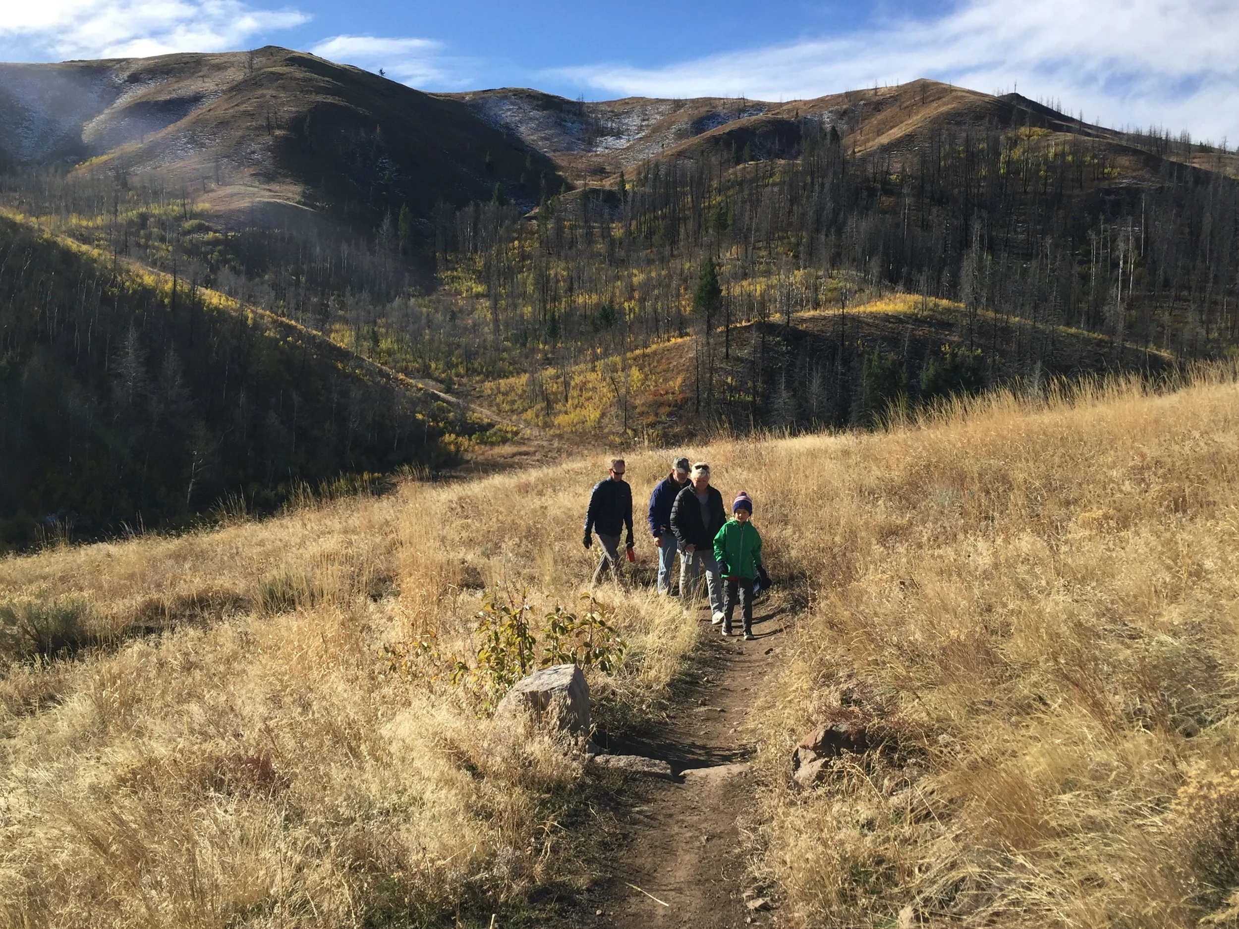 Cell Phone Addiction, Chronic Disease and the Nature RX