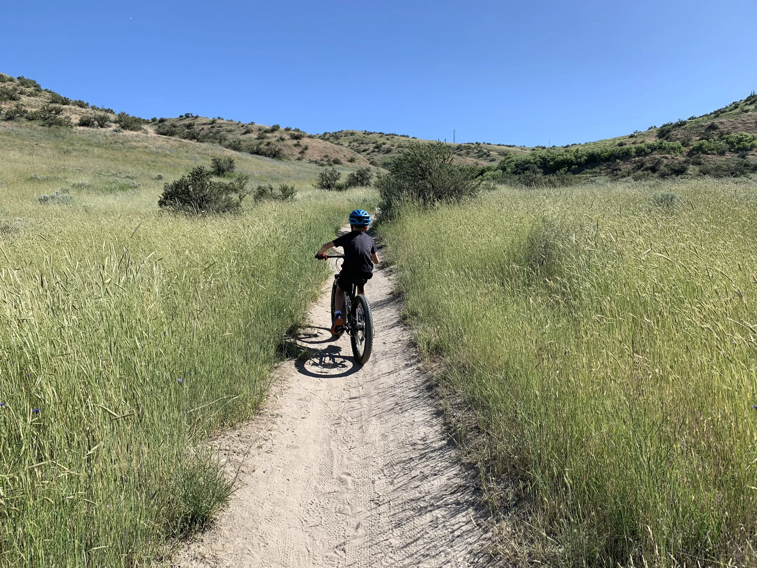 2020 Conservation in the West Poll, Results for Idaho