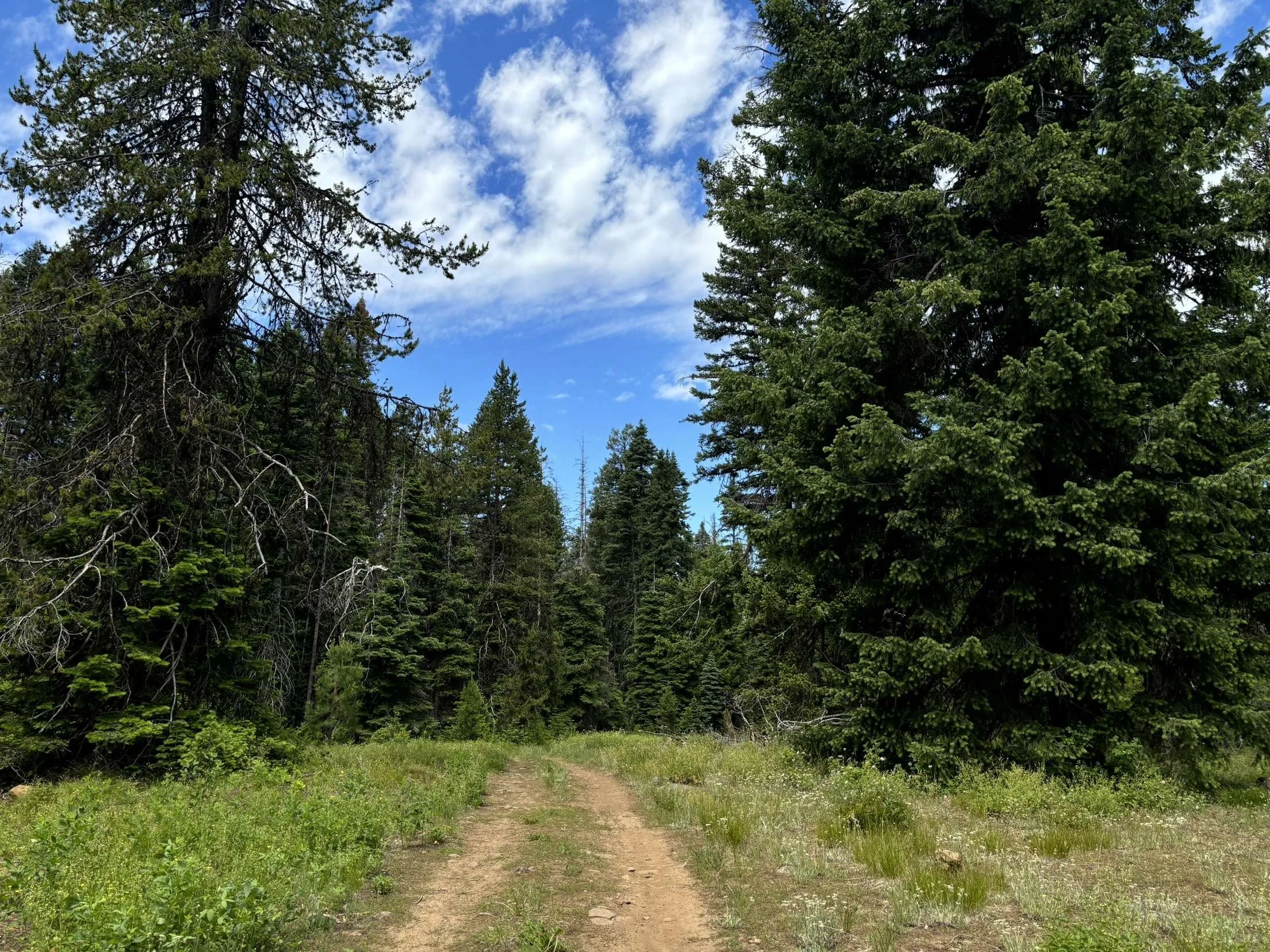 Why I Love the Outdoors