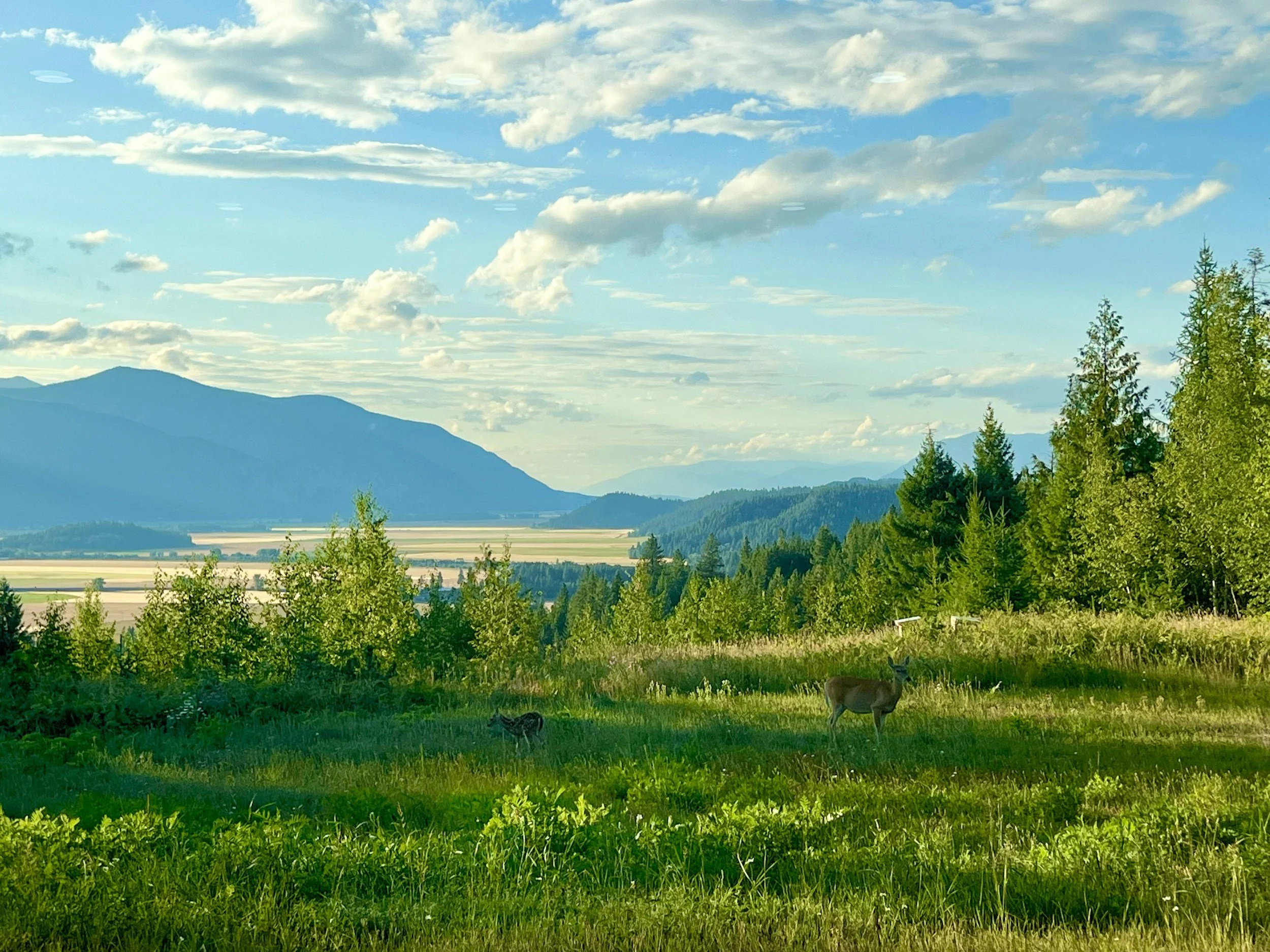 2026 Economic Assessment on Proposals to Transfer Ownership of Federal Lands to the State of Idaho