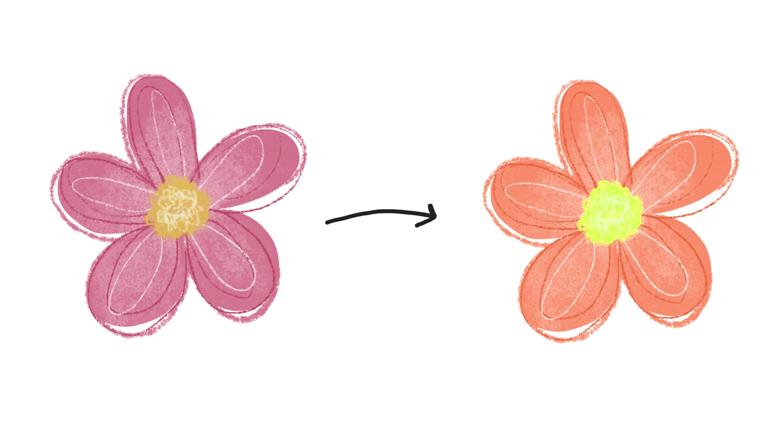 pink to orange.jpg