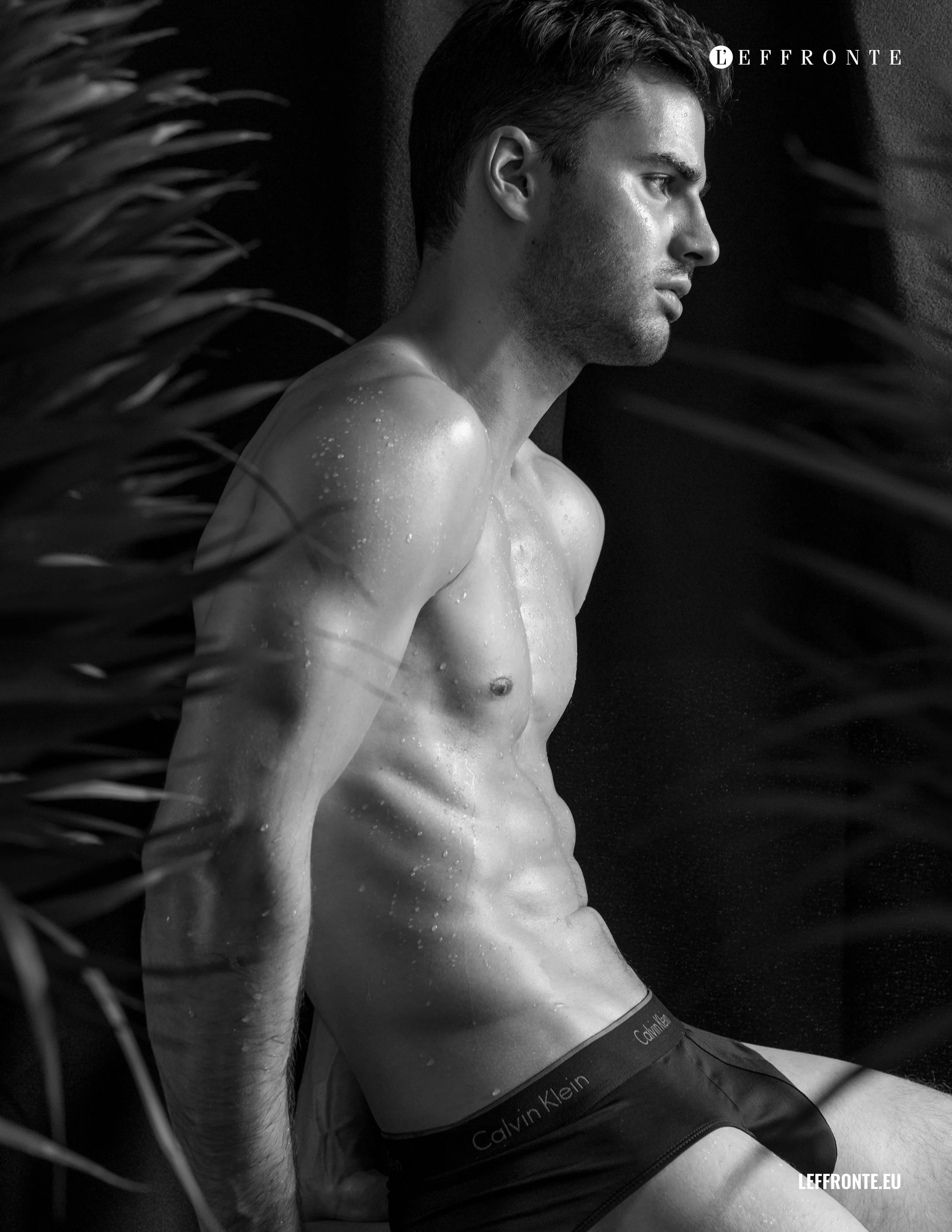 Northern Heat by Francisco Fernandez (2).jpg