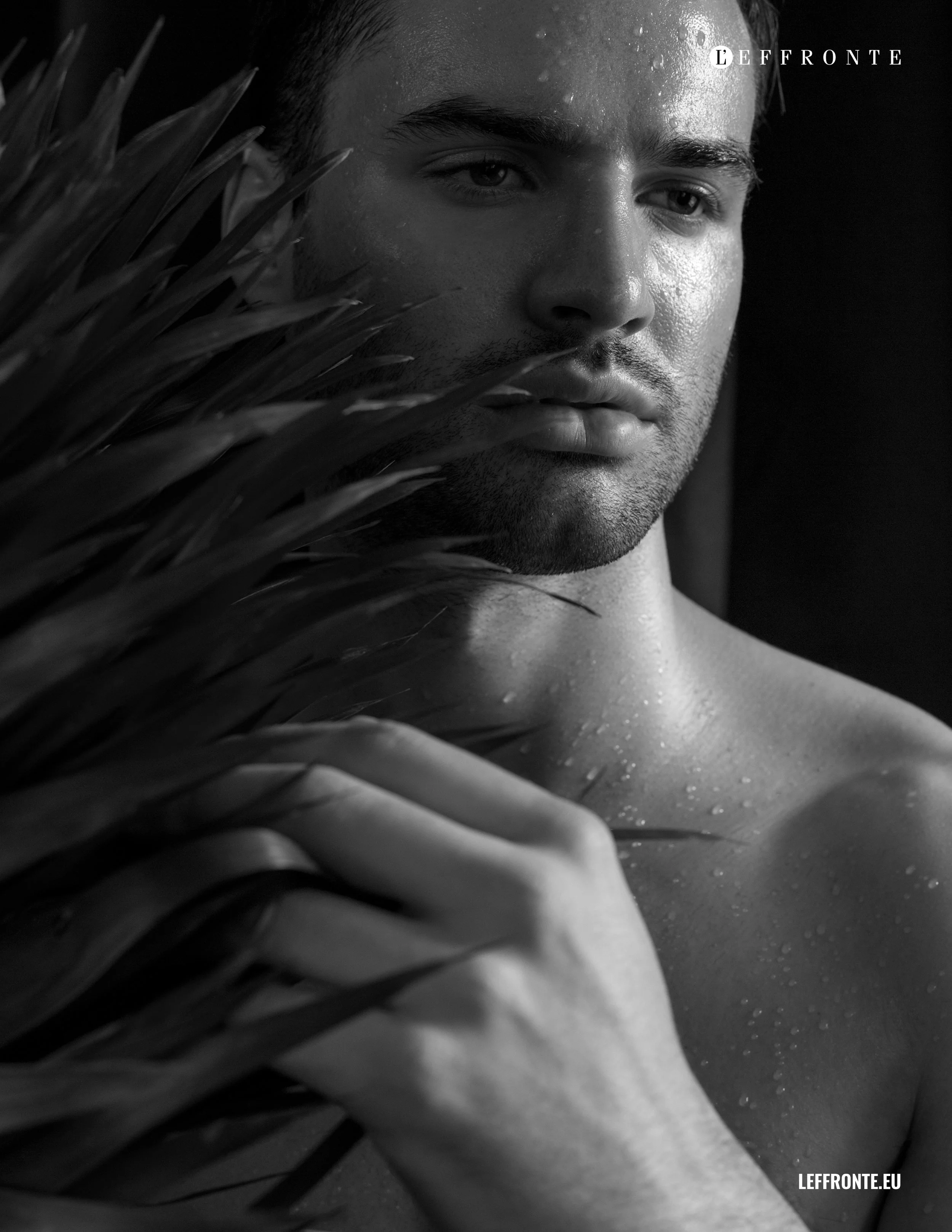 Northern Heat by Francisco Fernandez (5).jpg