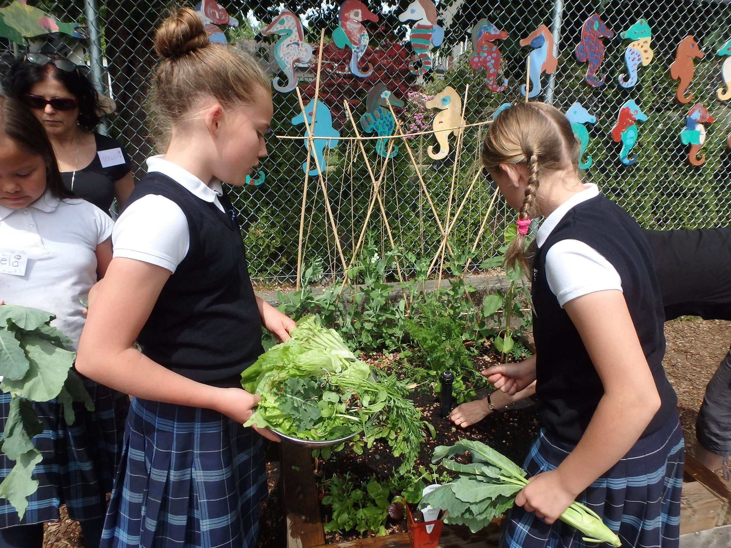 garden-2016-1.jpg