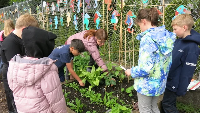 gardenbuddies2017_6.jpg