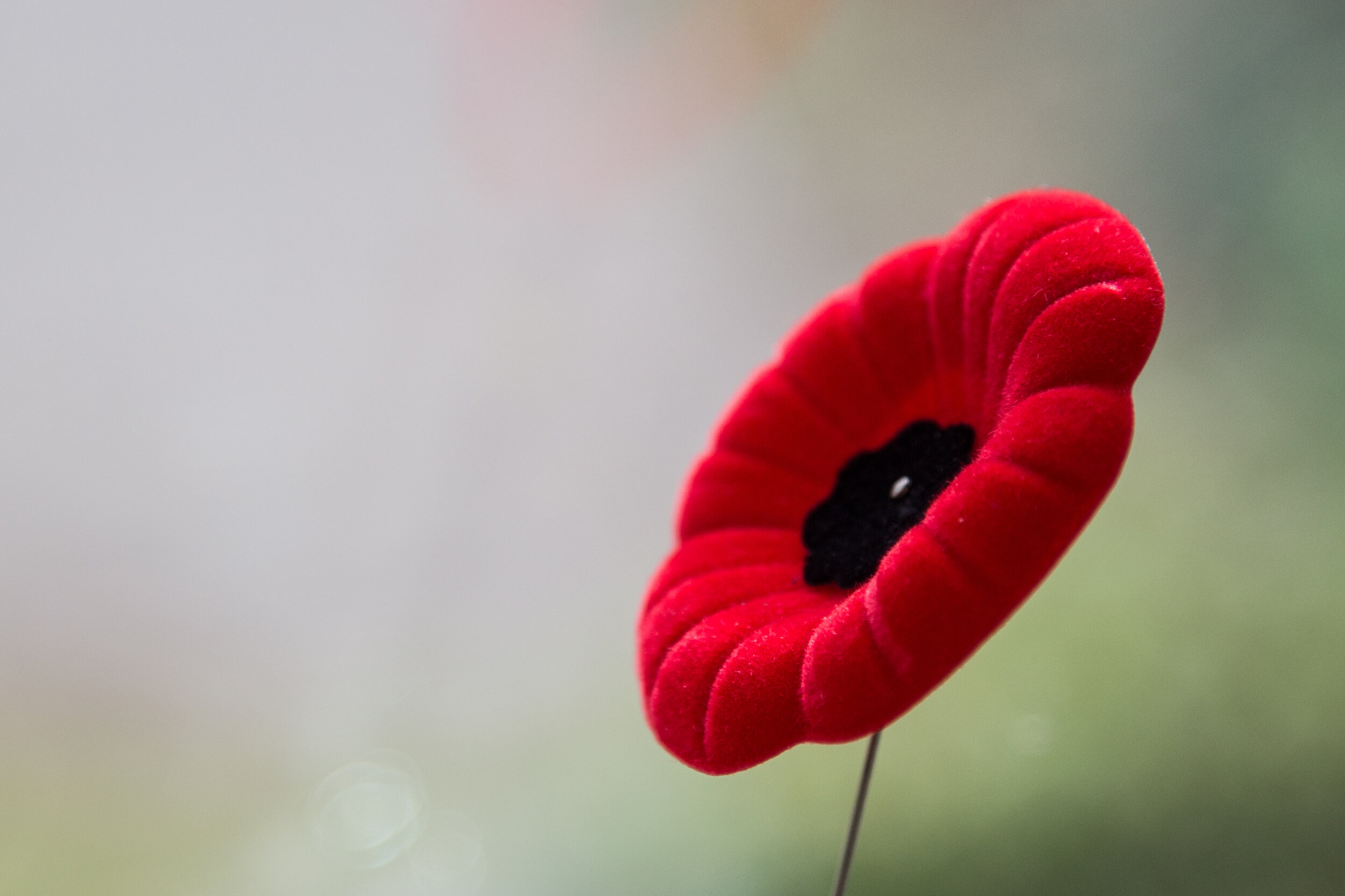 ICS1920-RemembranceDay-1.jpg