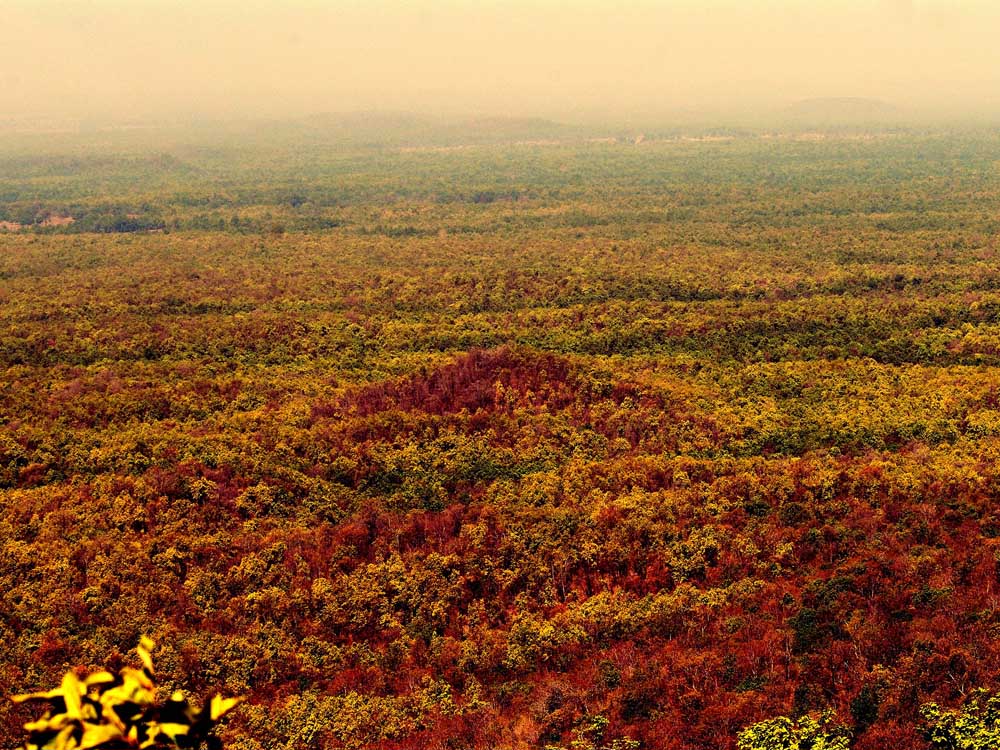 057 Kanha From Bhamini Dadra.jpg