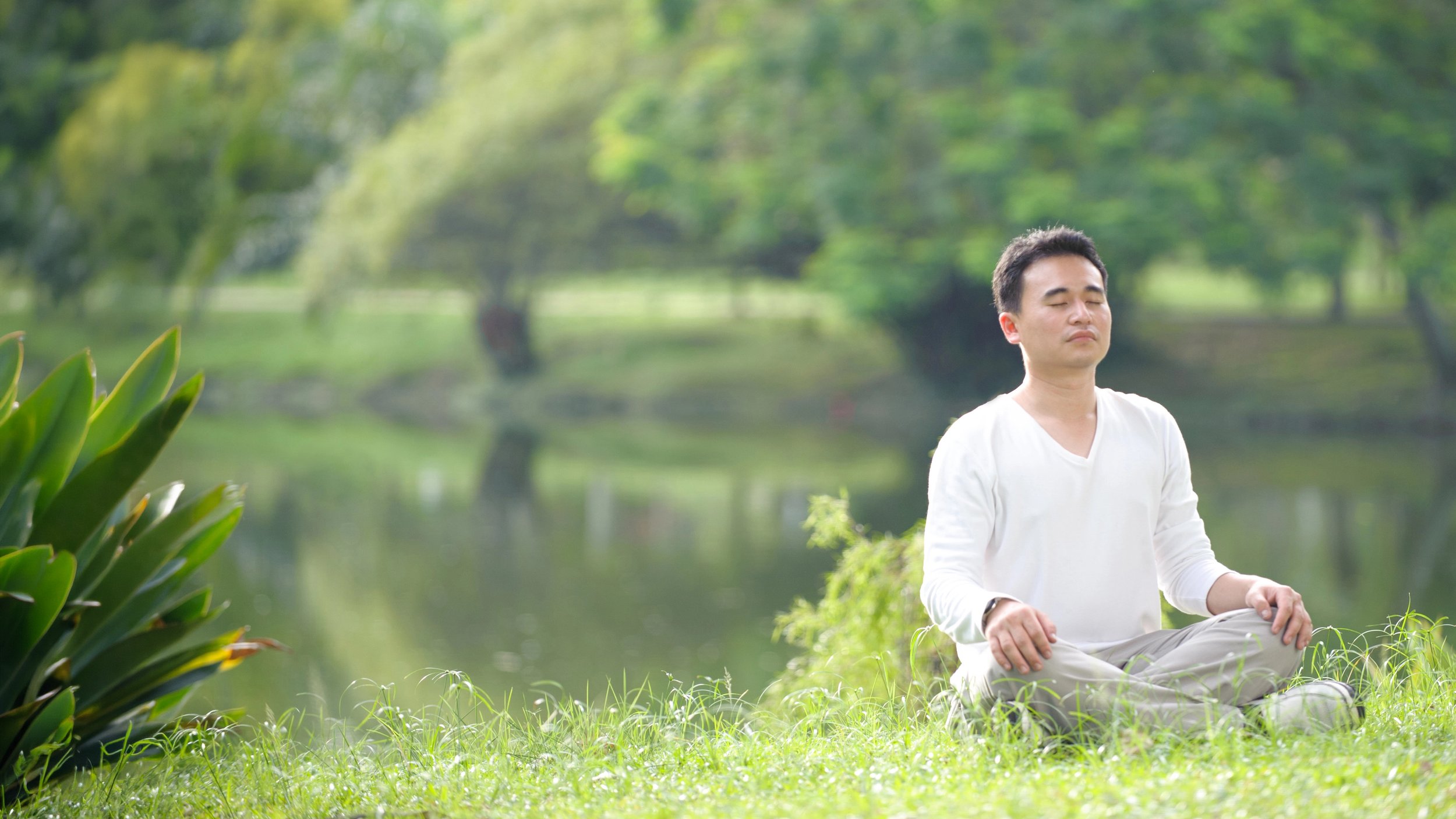 man meditating in park eyes closed widescreen.jpg