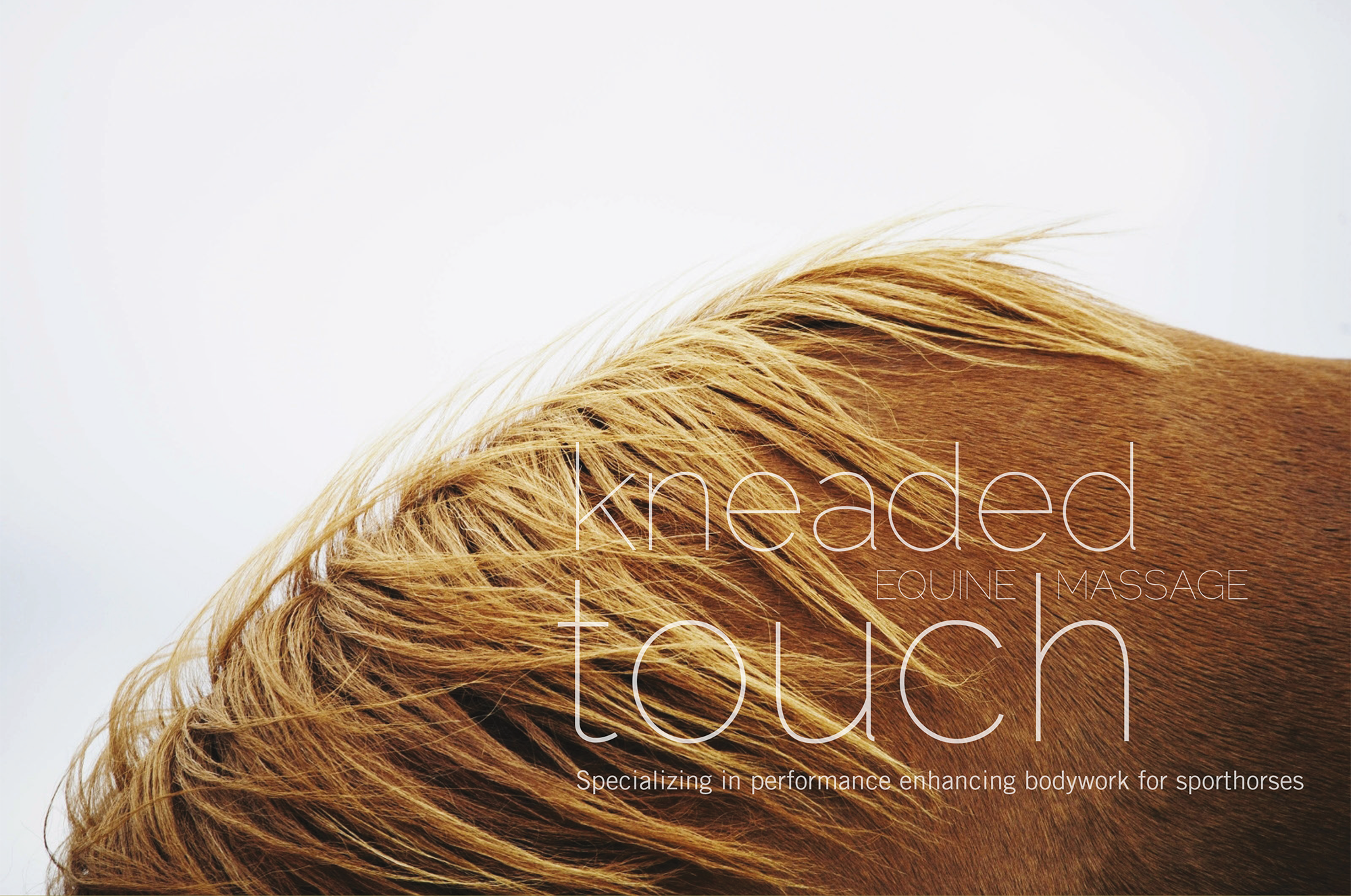 Logo + Identity for Kneaded Touch Equine Massage 