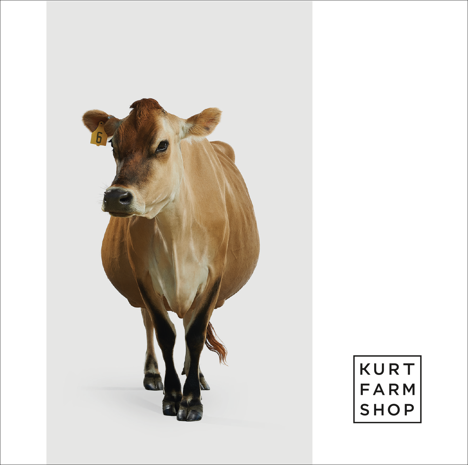Kurt Farm Shop | Postcard