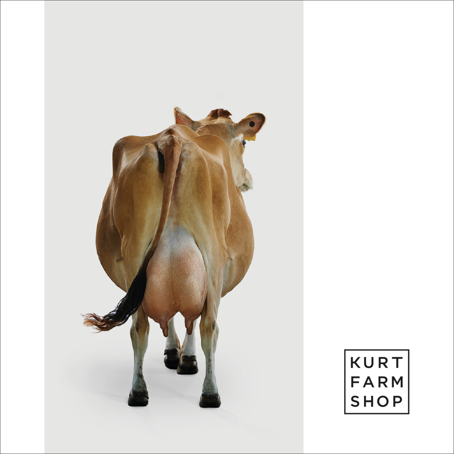 Kurt Farm Shop | Postcard