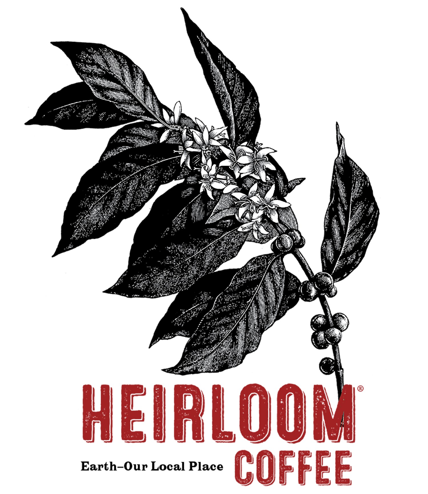 heirloom-coffee-logo.png
