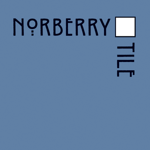 NT_Logo_blue-wht.png