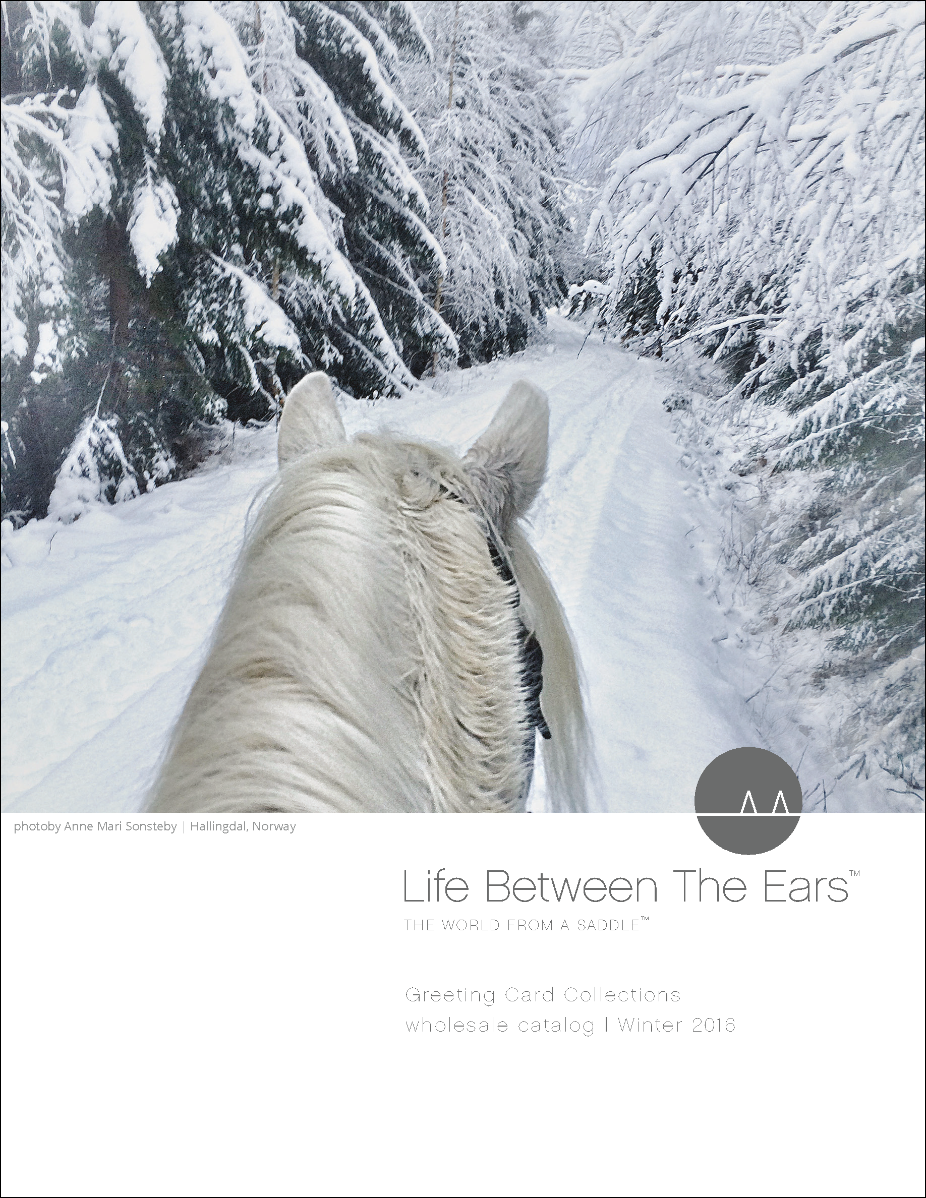 Life Between The Ears | Catalog