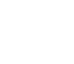 fence.png