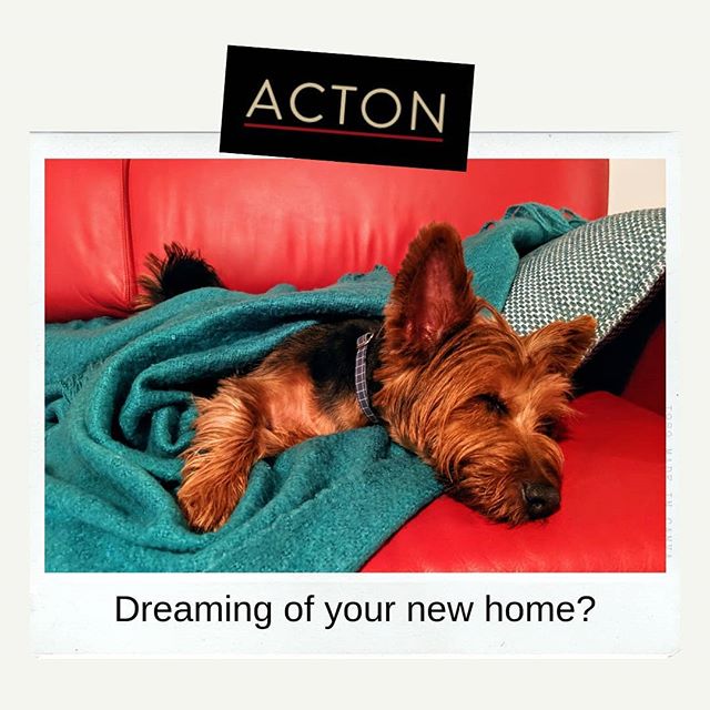 The team at ACTON can help you find the home of your dreams.
Call us on 9470 5556.