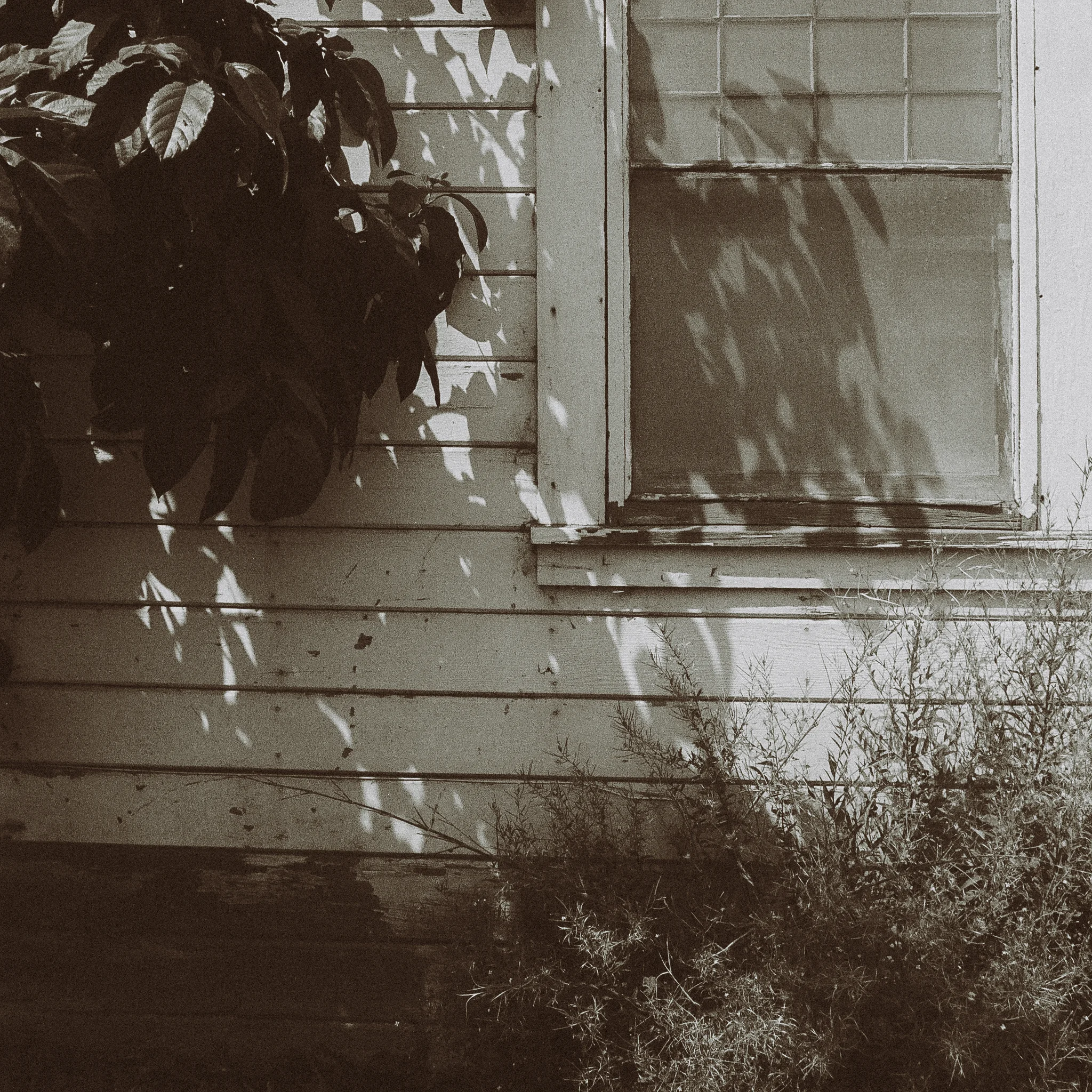 11 window.jpg