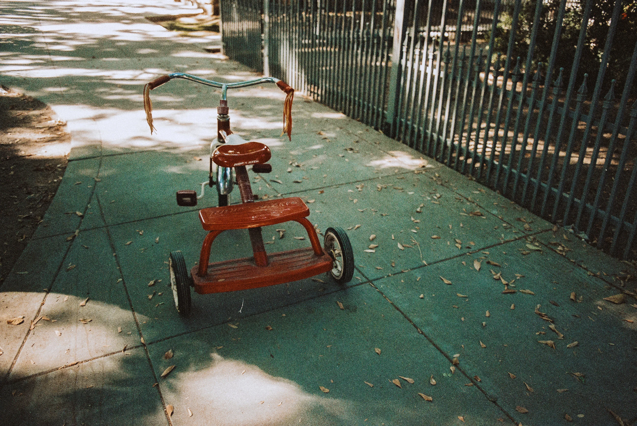 25.jpg