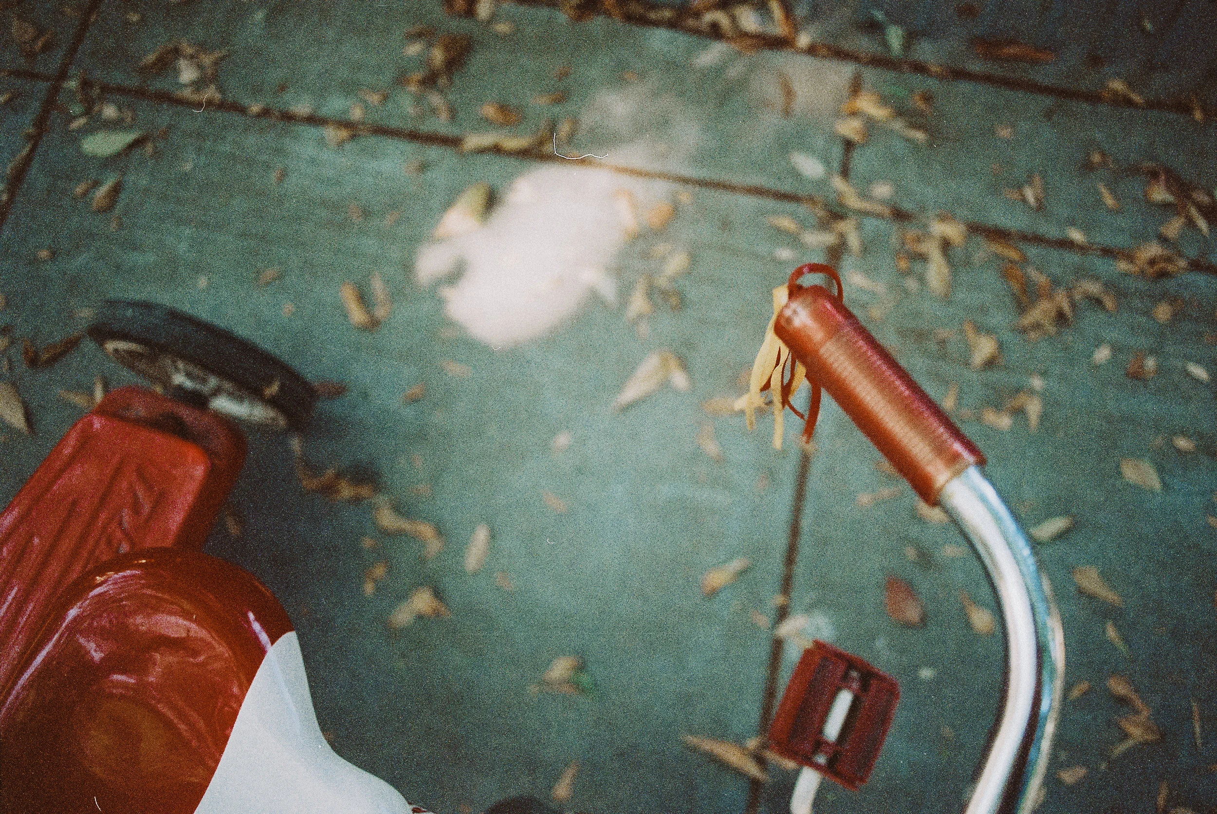 24.jpg