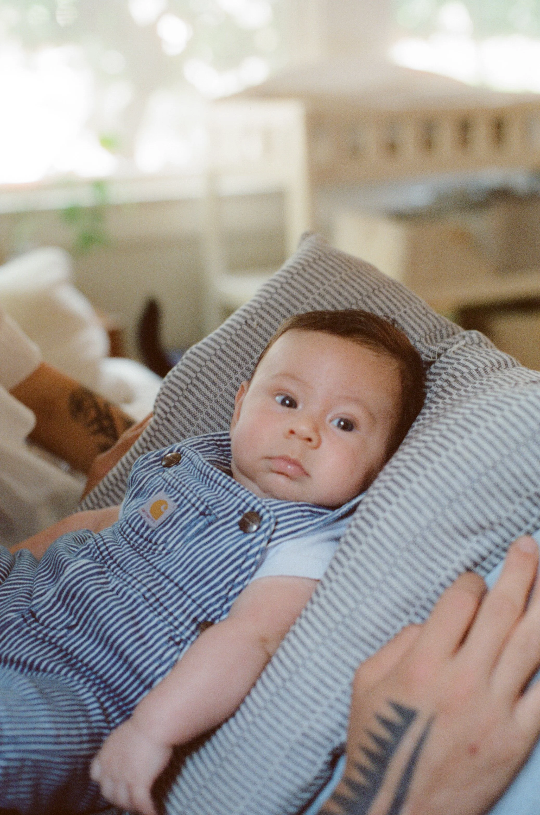 Madeleine Maynard Family 2025 58.jpg