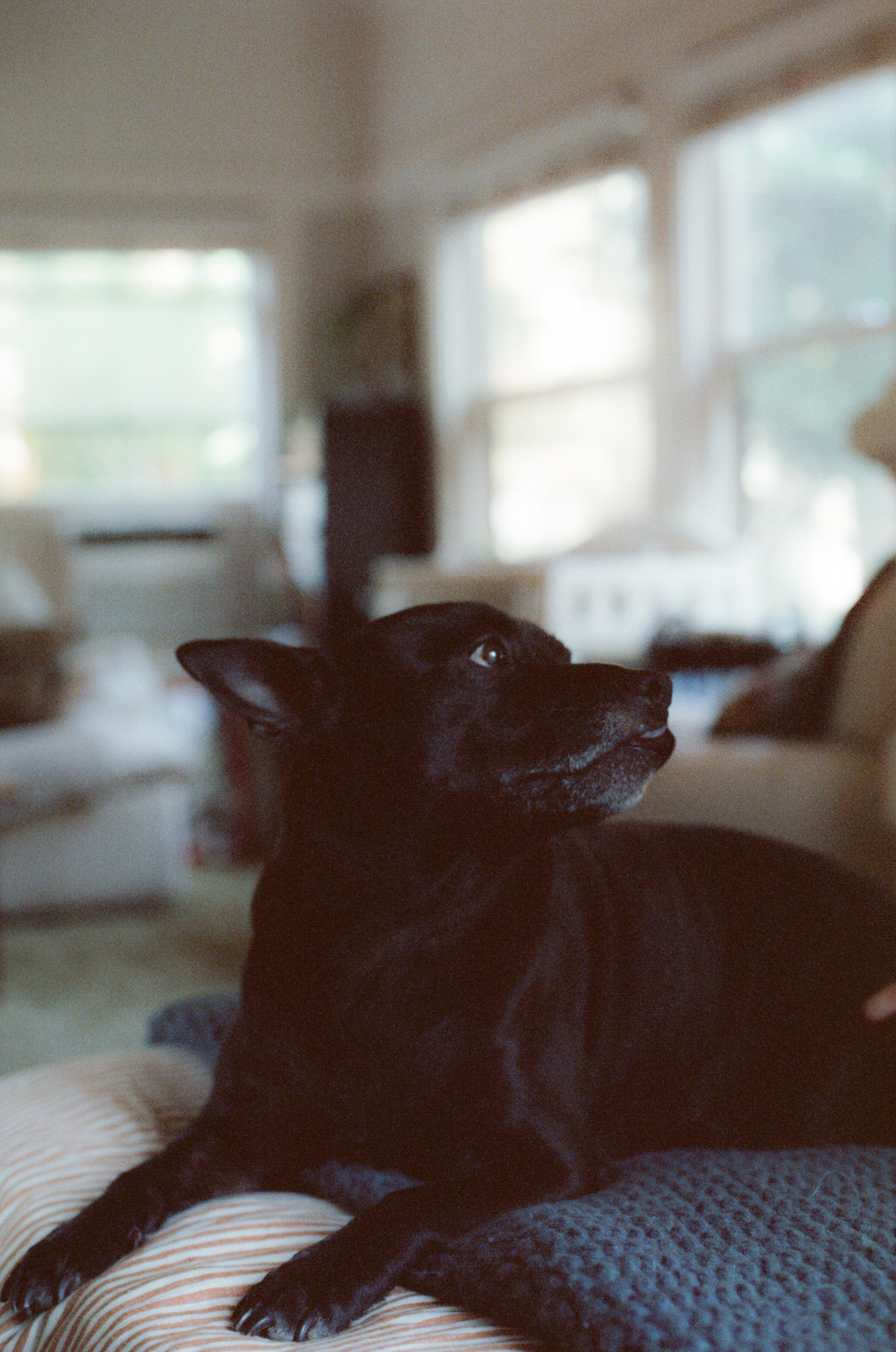 Madeleine Maynard Family 2025 61.jpg