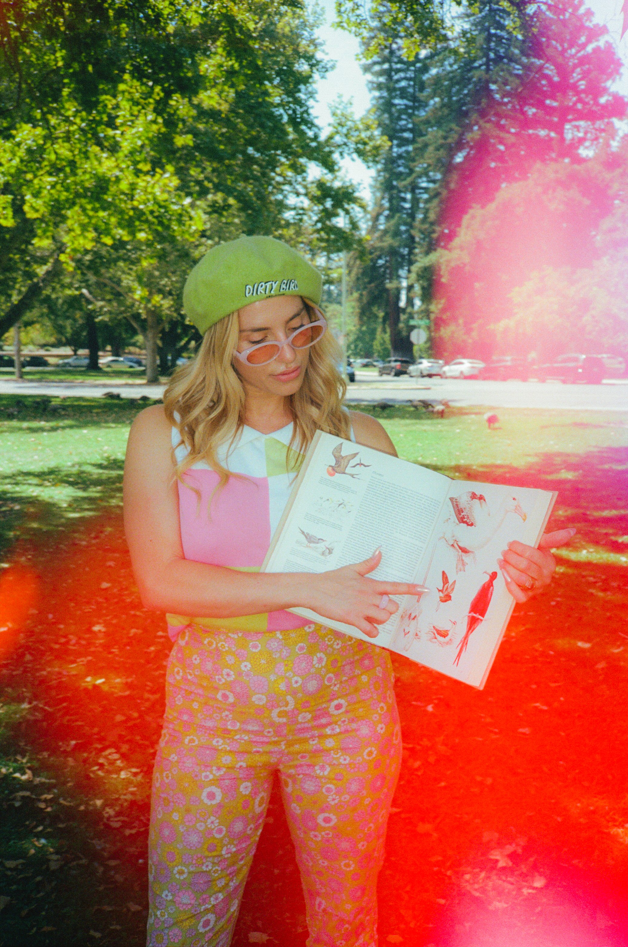 Dirty Bird Goes Bird Watching Film 2.jpg