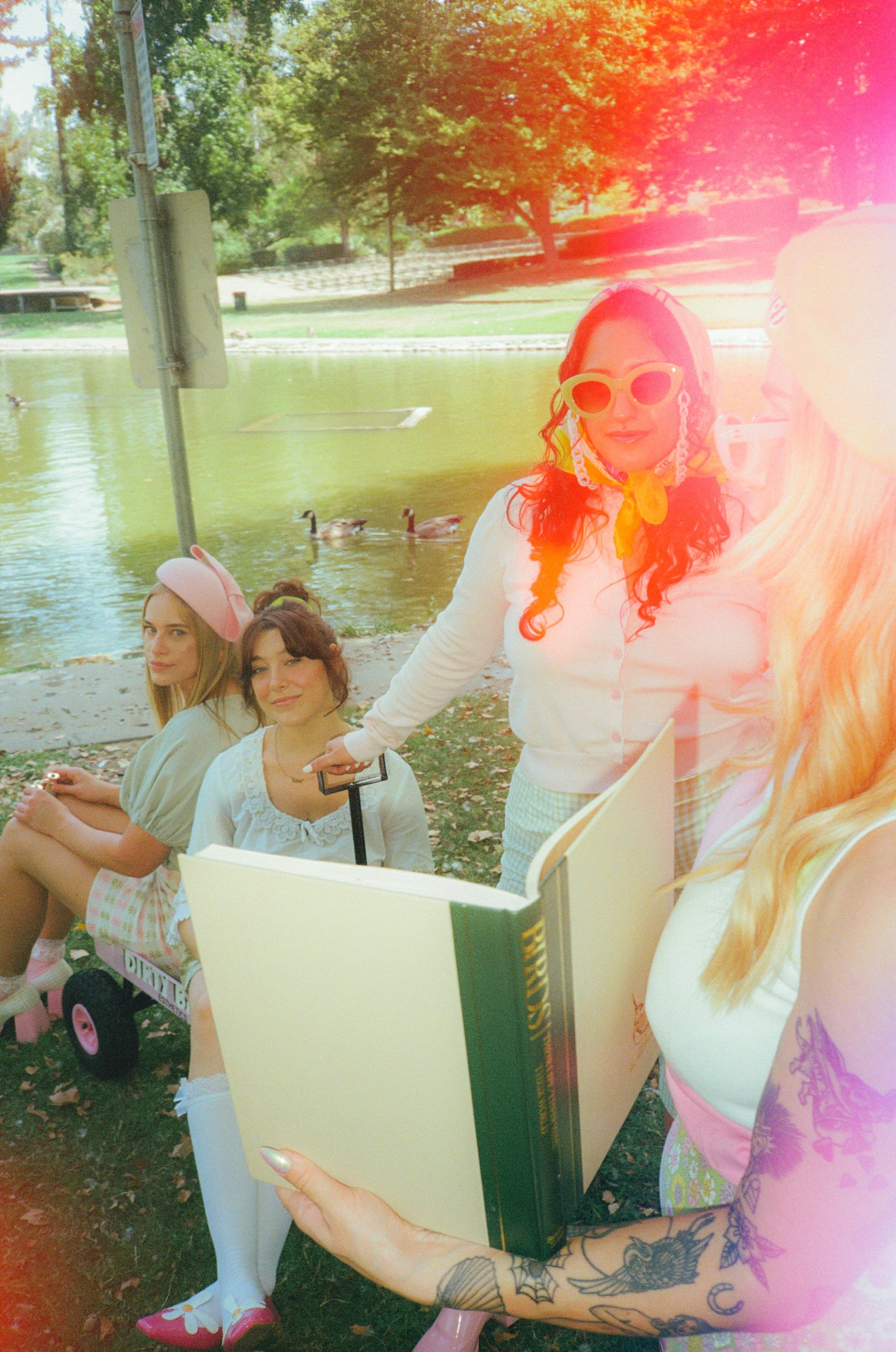 Dirty Bird Goes Bird Watching Film 3.jpg