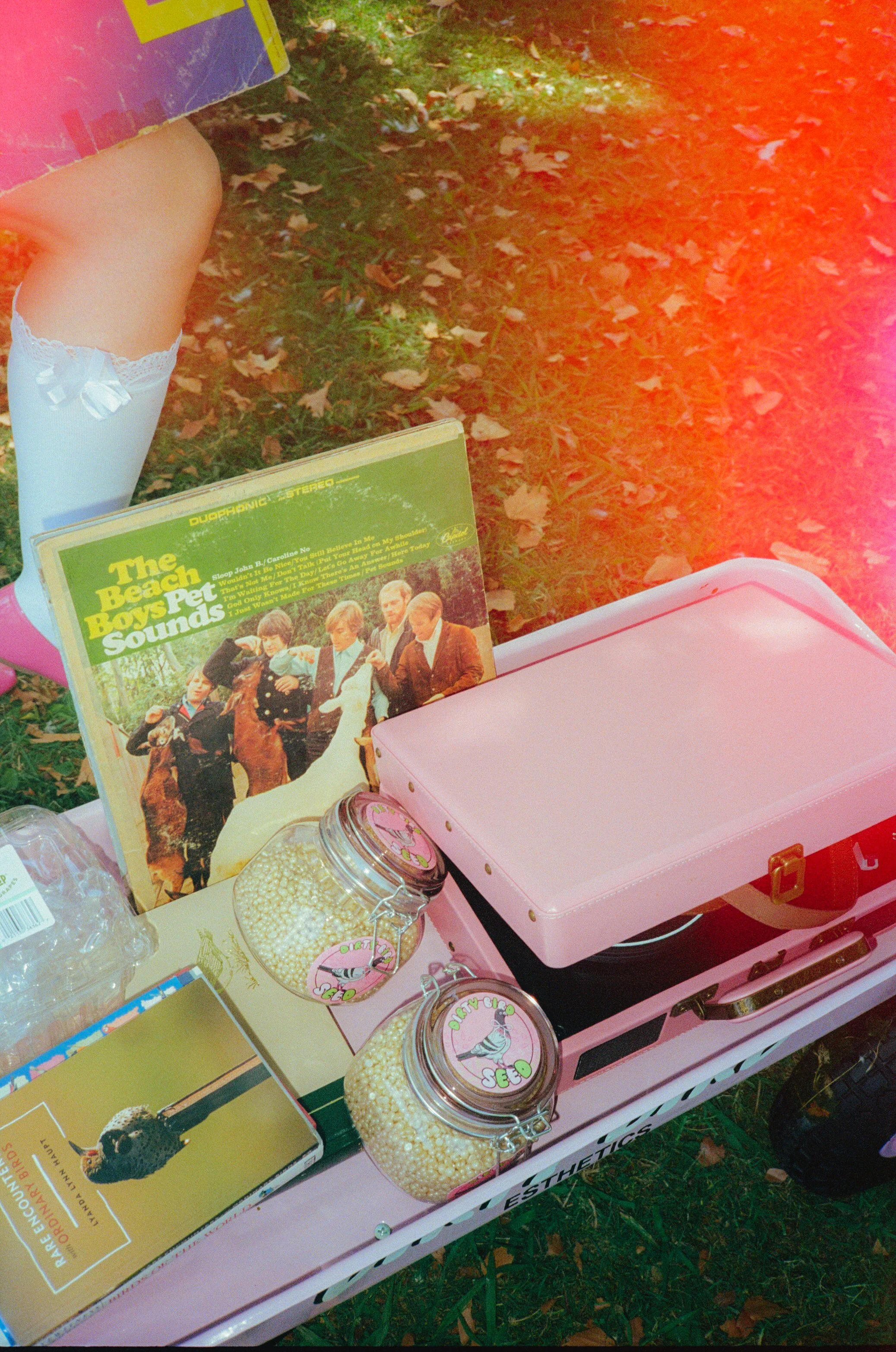 Dirty Bird Goes Bird Watching Film 5.jpg