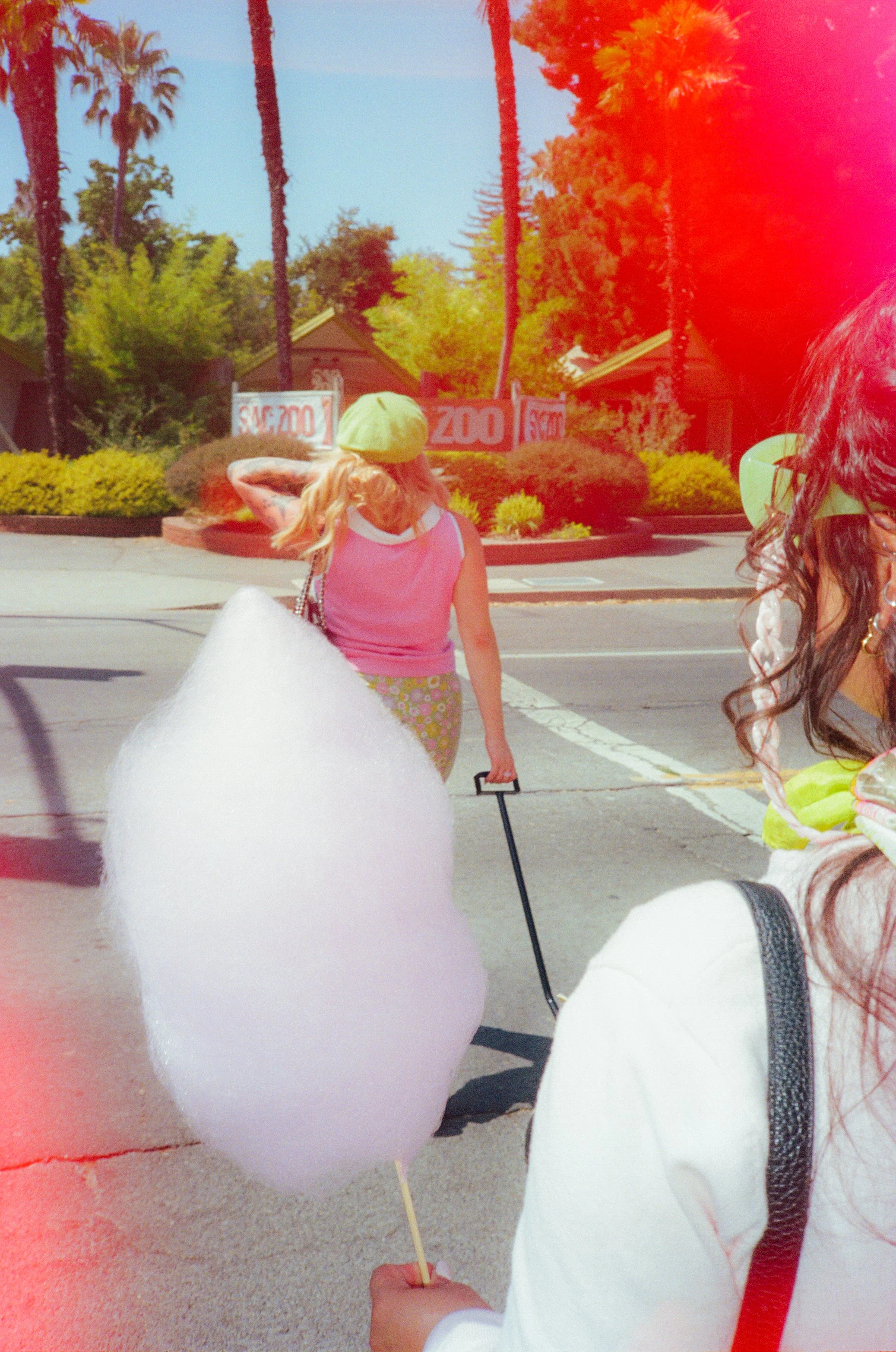 Dirty Bird Goes Bird Watching Film 6.jpg