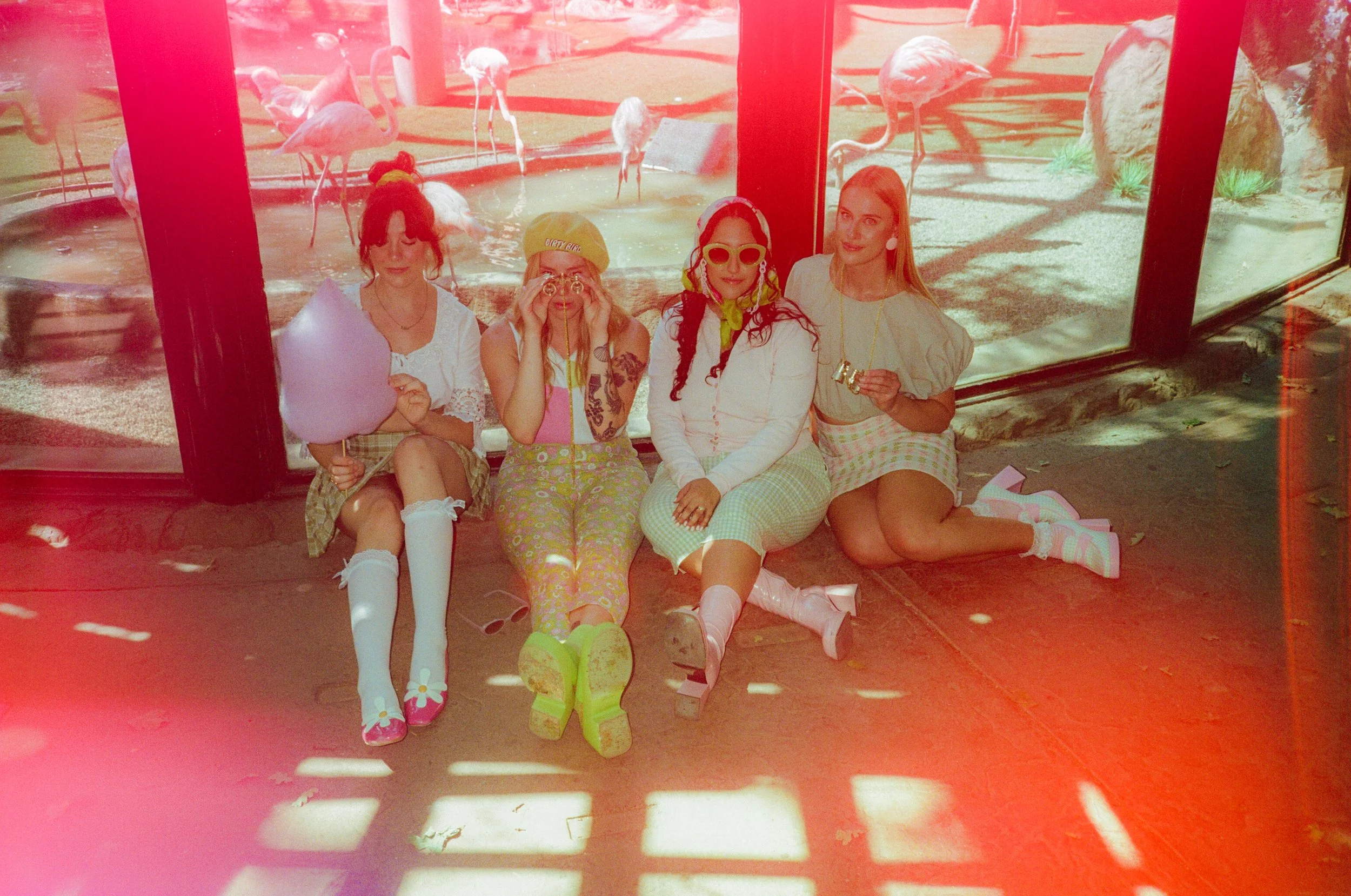 Dirty Bird Goes Bird Watching Film 7.jpg