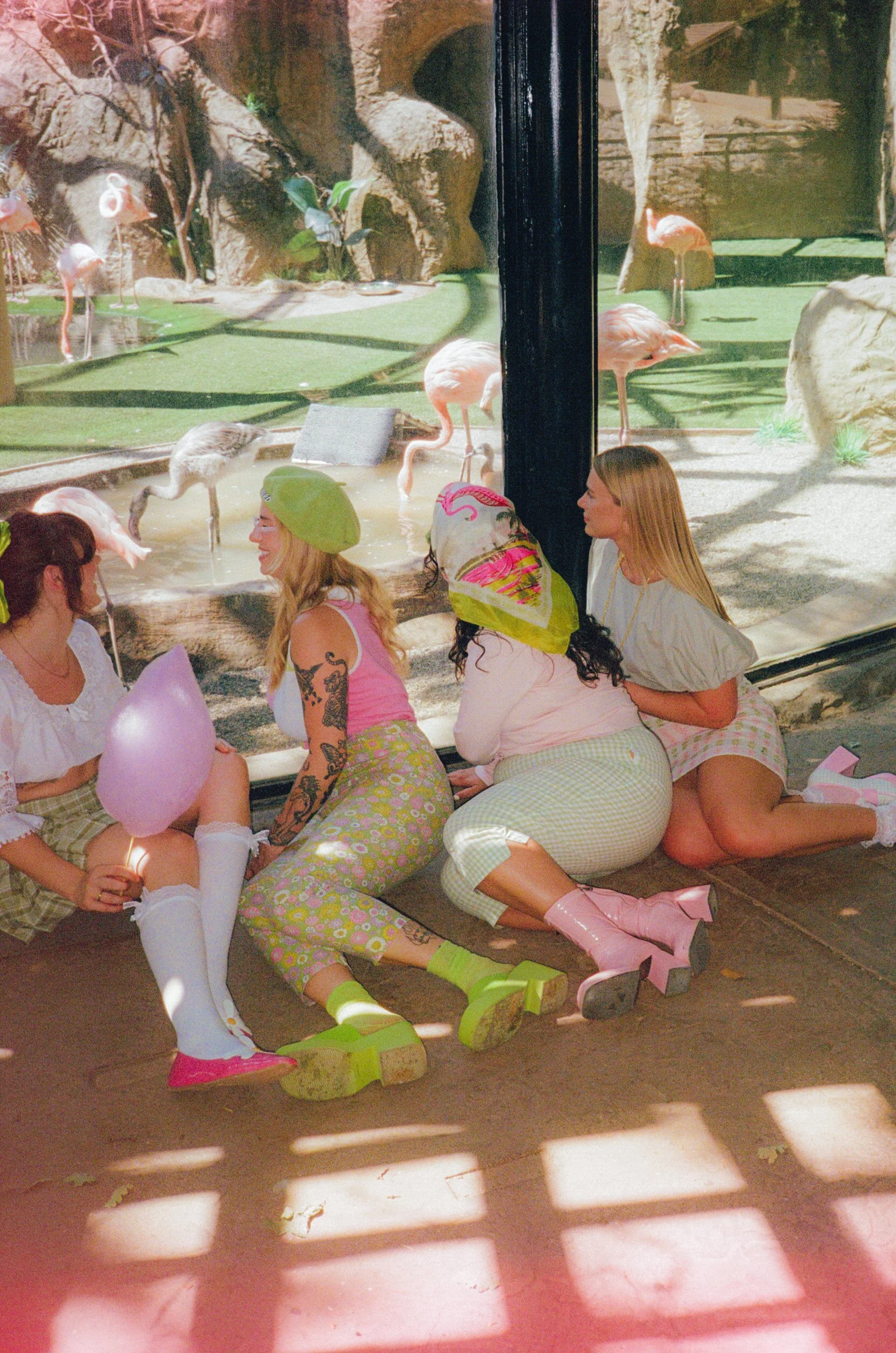 Dirty Bird Goes Bird Watching Film 8.jpg