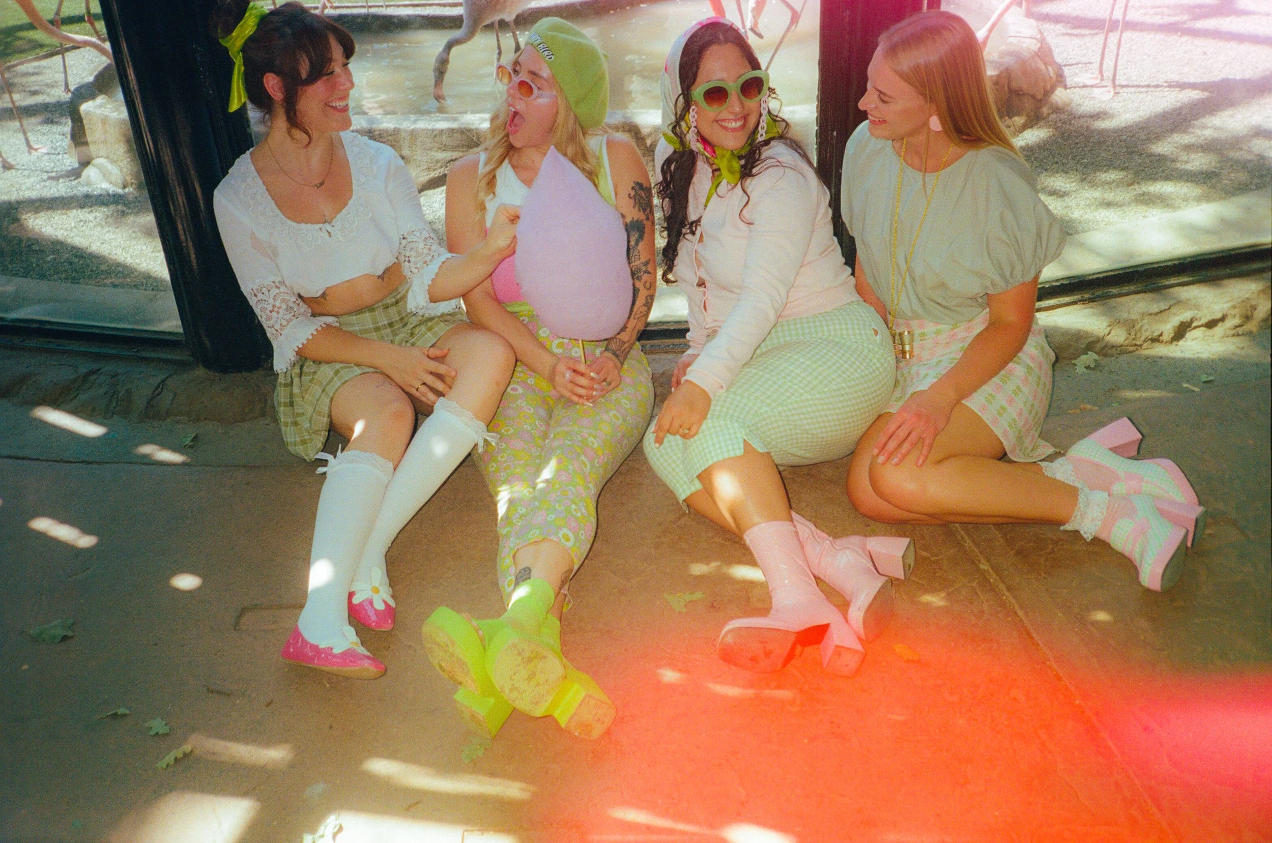 Dirty Bird Goes Bird Watching Film 10.jpg