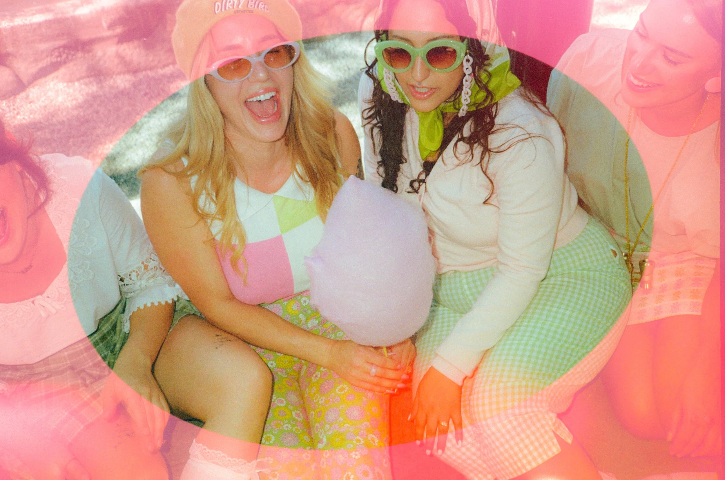 Dirty Bird Goes Bird Watching Film 11.jpg