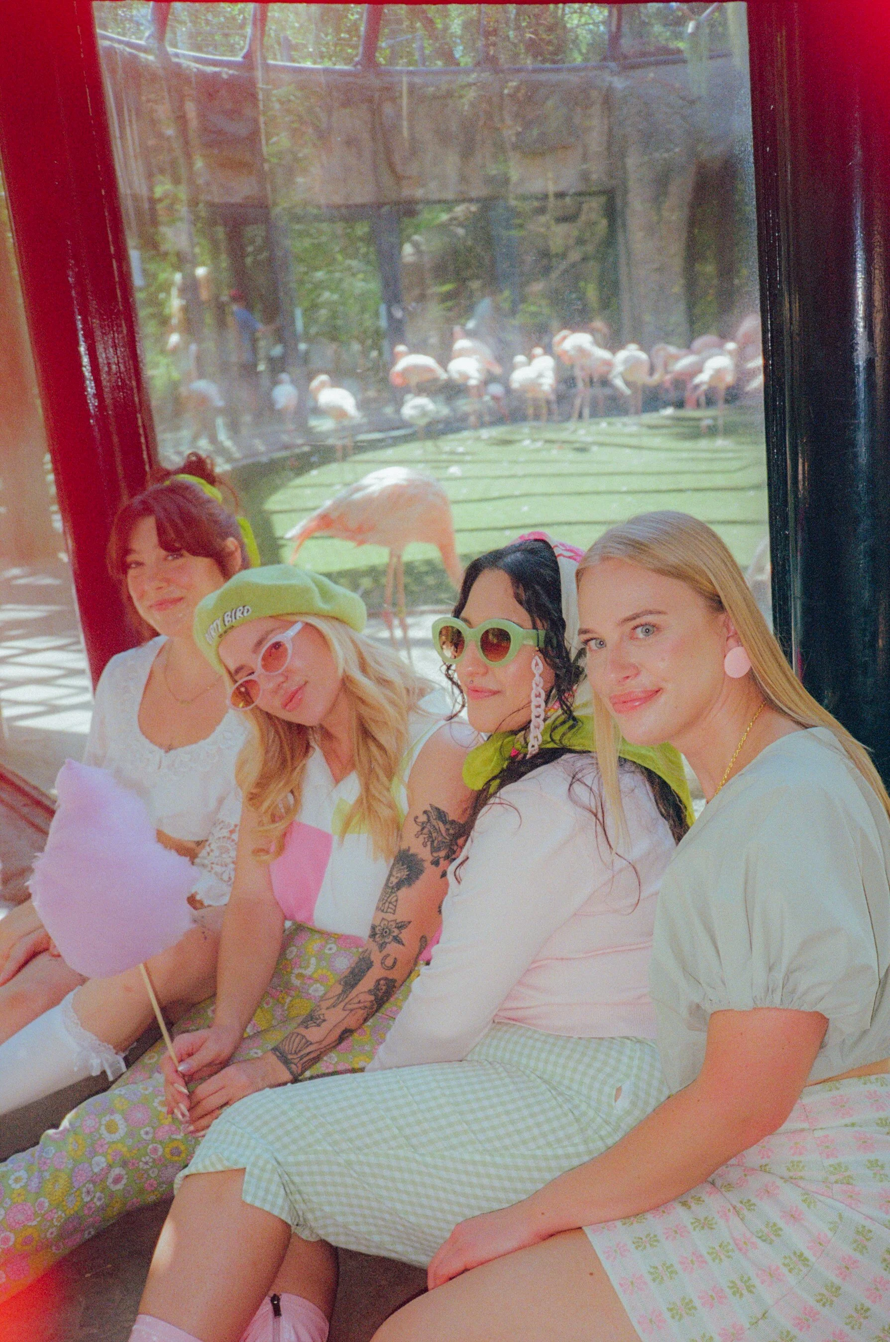 Dirty Bird Goes Bird Watching Film 15-2.jpg