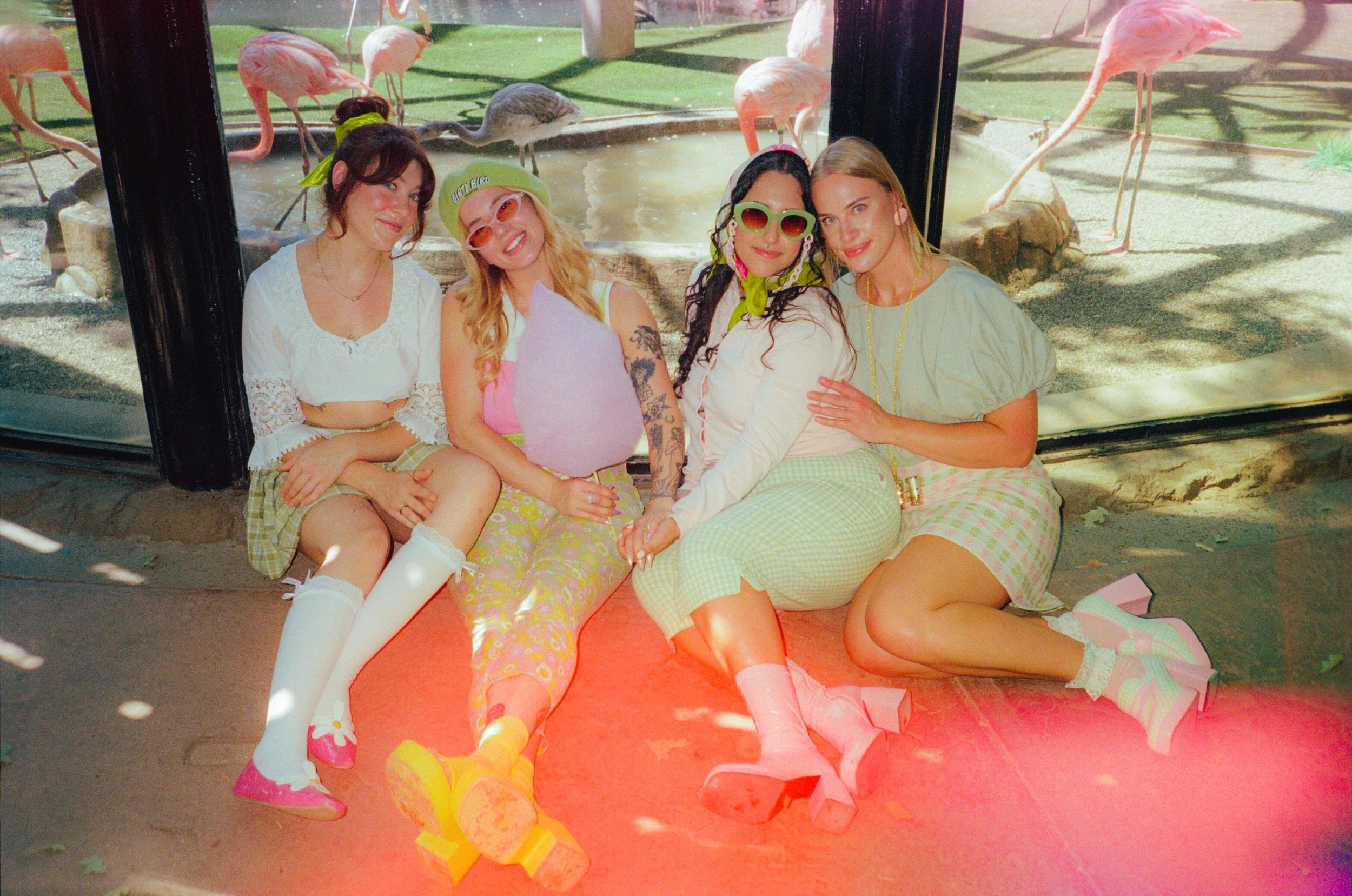 Dirty Bird Goes Bird Watching Film 14.jpg