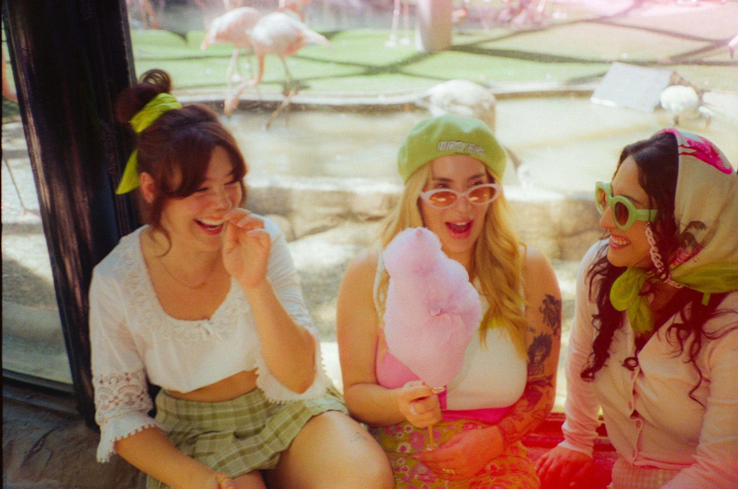 Dirty Bird Goes Bird Watching Film 15.jpg