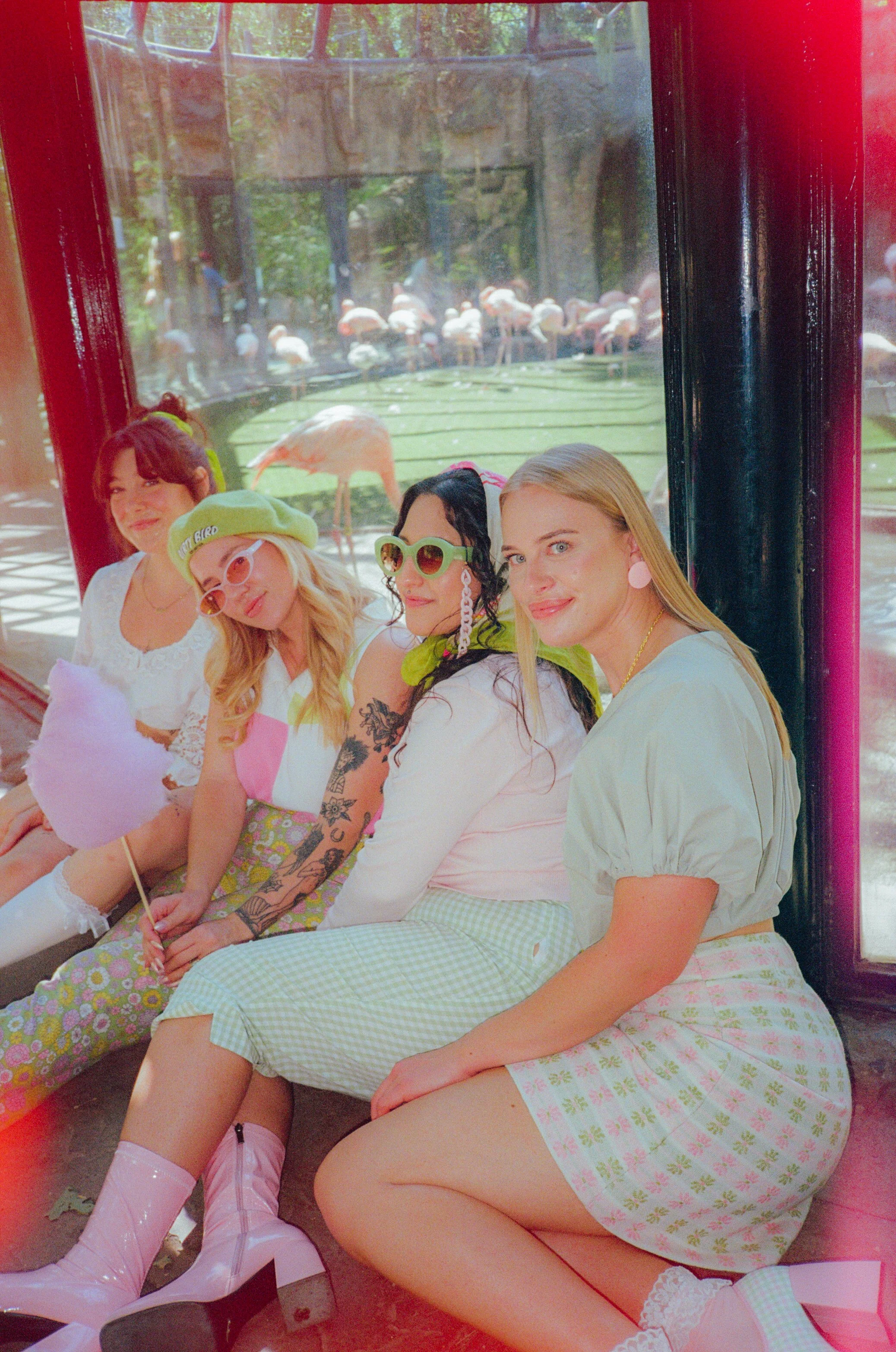 Dirty Bird Goes Bird Watching Film 16.jpg