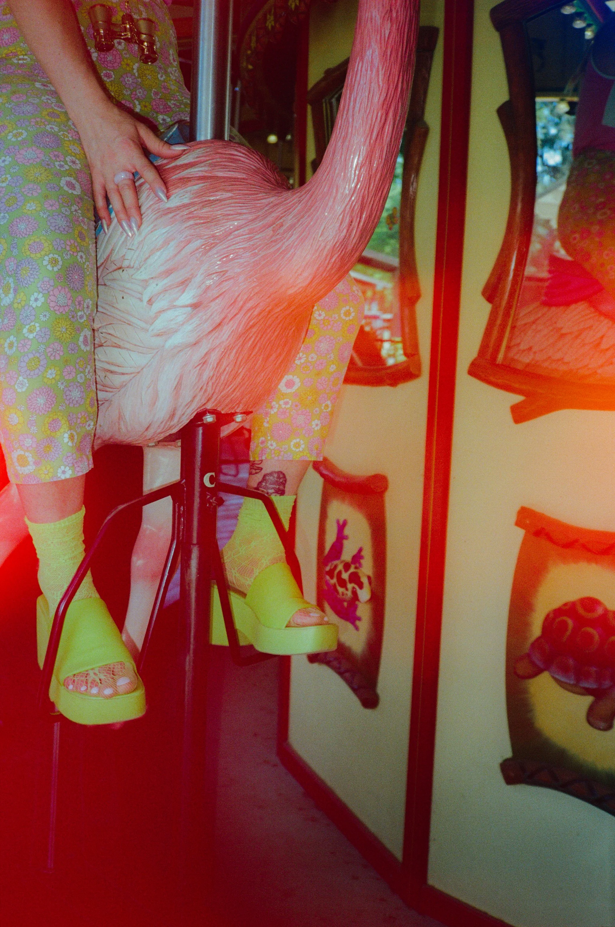 Dirty Bird Goes Bird Watching Film 17-2.jpg