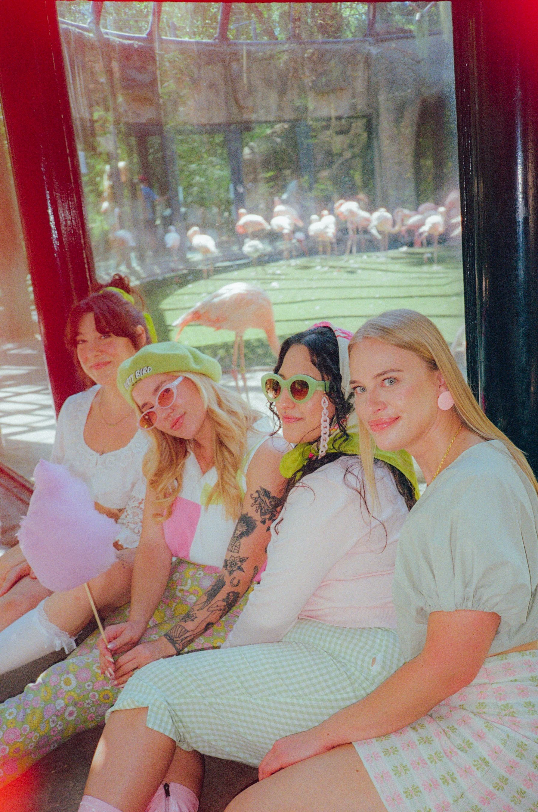 Dirty Bird Goes Bird Watching Film 17.jpg