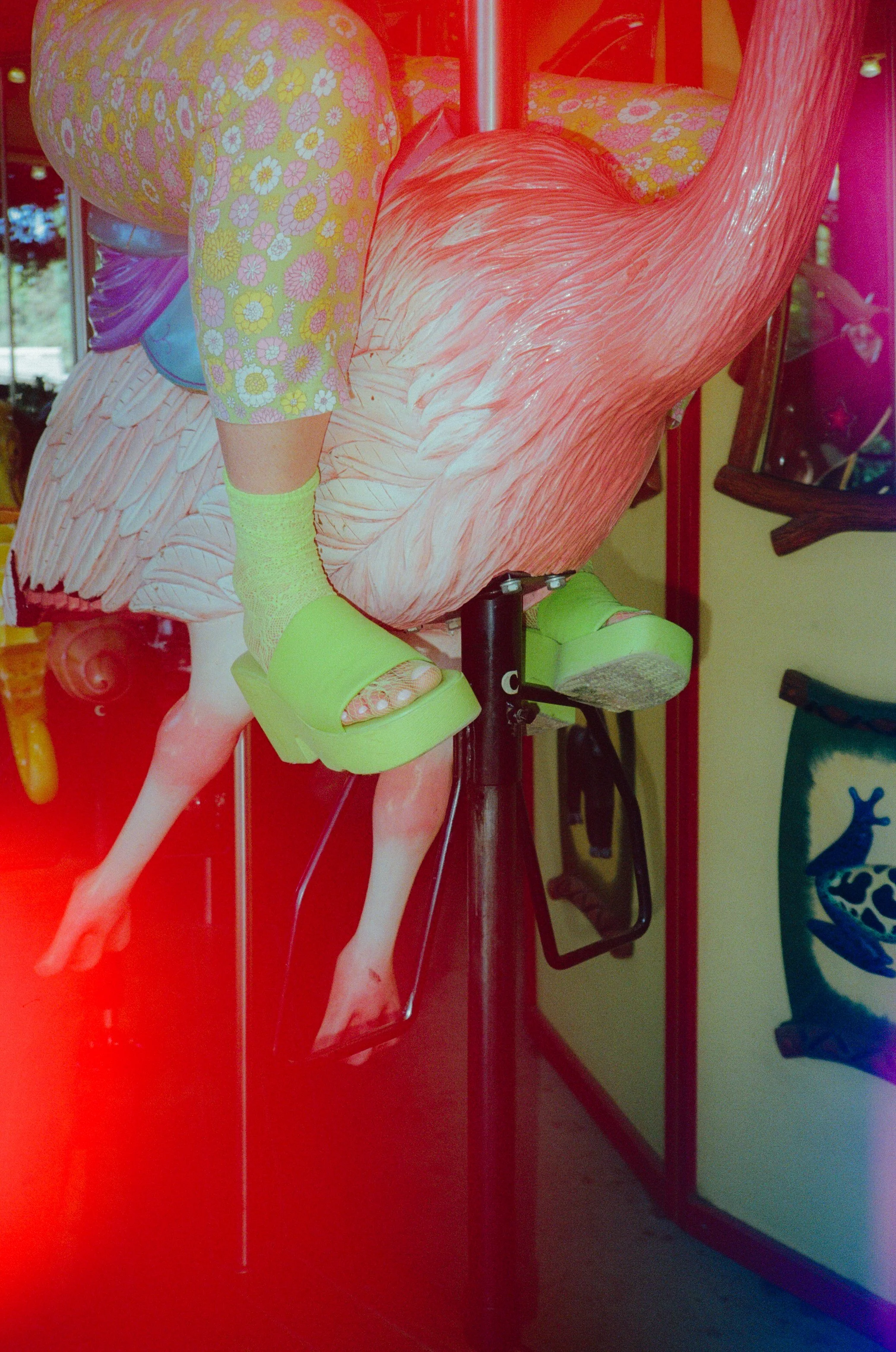 Dirty Bird Goes Bird Watching Film 18.jpg